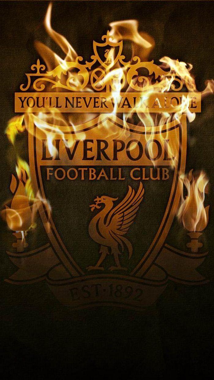 Liverpool fc, champions, football, reds, HD phone wallpaper | Peakpx