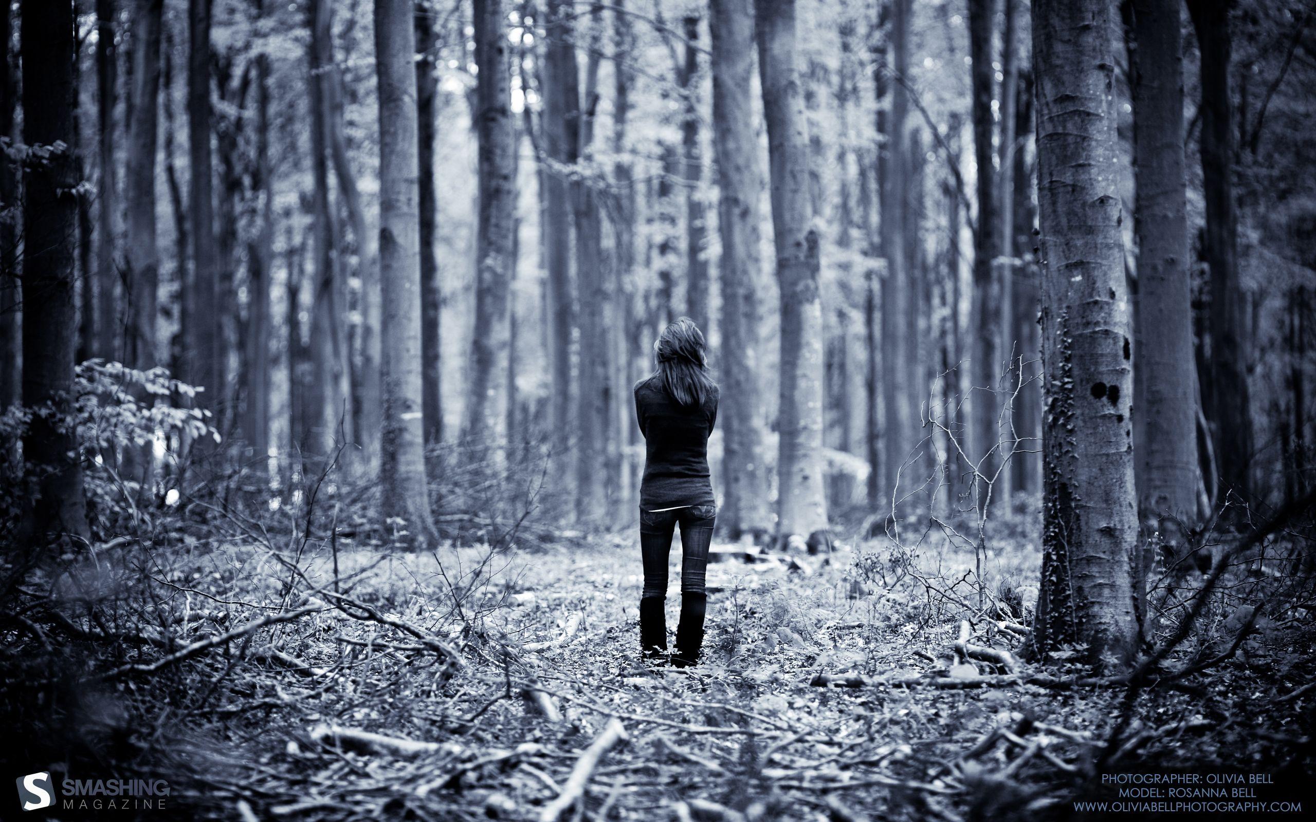 2560x1600 The Woods Desktop Background. Winter Woods Wallpaper, Magical Woods Wallpaper and Indie Woods Wallpaper