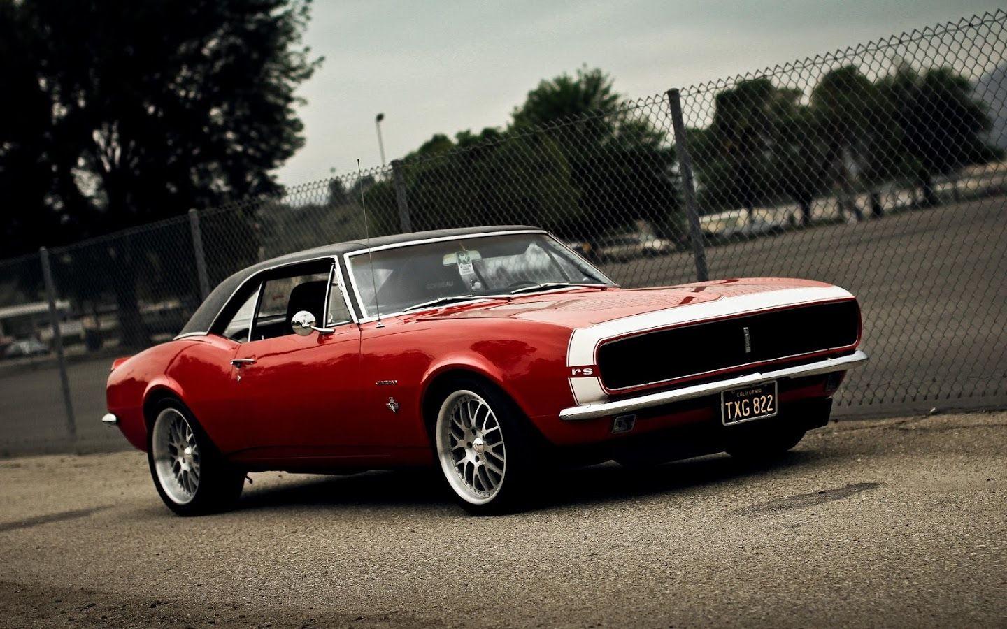 1440x900 Muscle car picture wallpaper