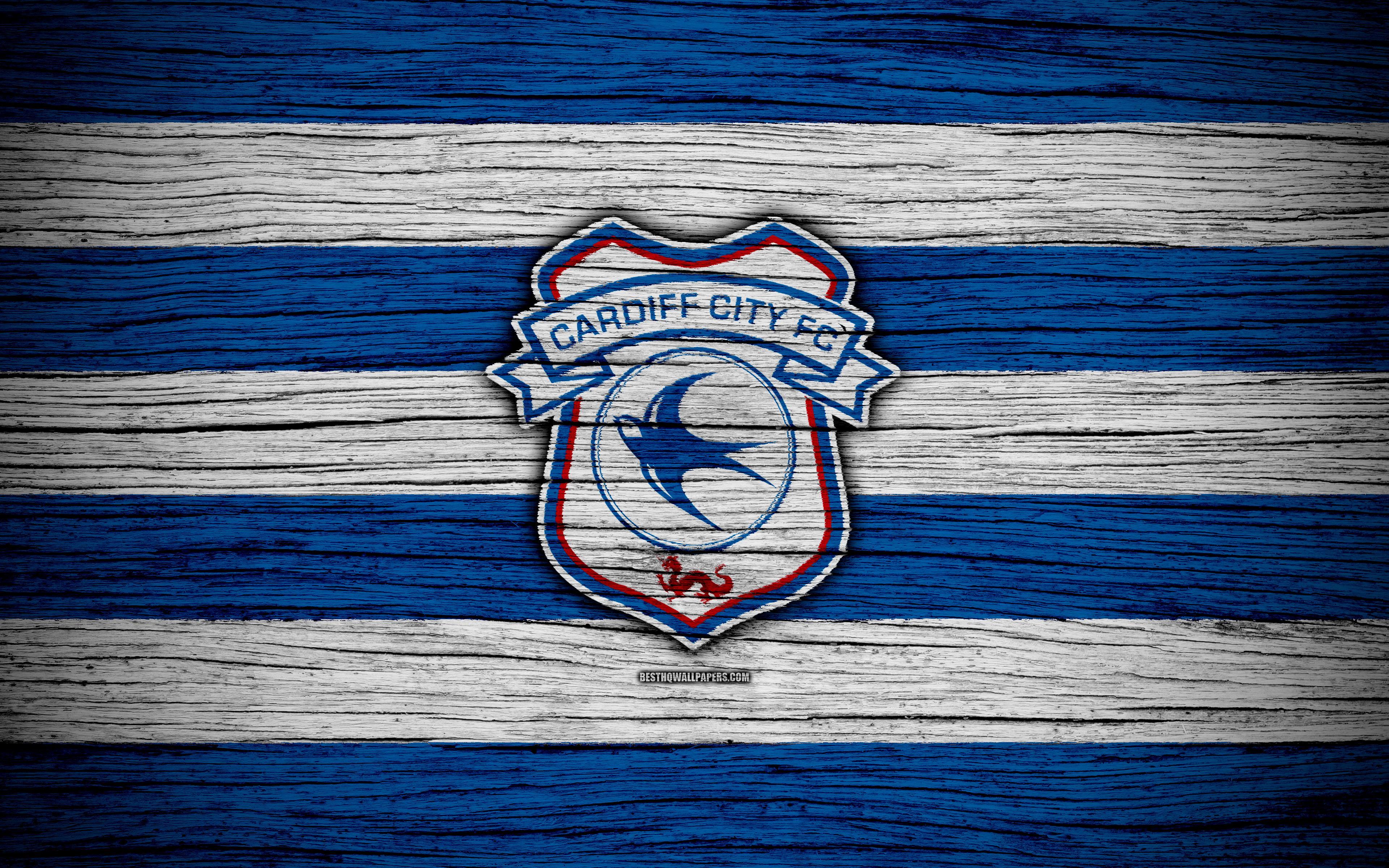 Кардифф сити. Cardiff City FC. ФК Кардифф Сити эмблема. ФК Кардифф Сити обои.