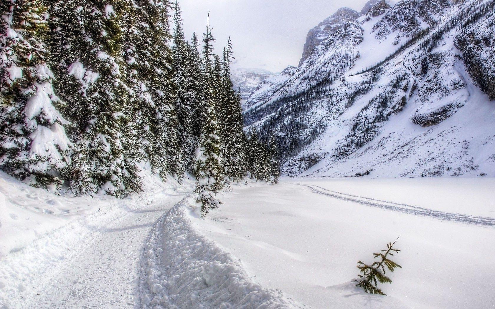 1680x1050 Forest winter snow day mountain road