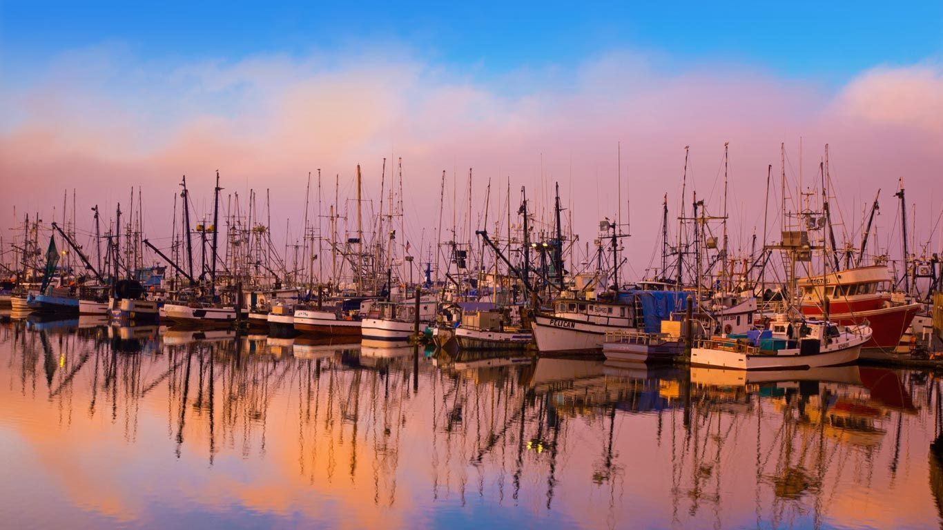 1366x768 Fishing boats moored in Newport, Oregon