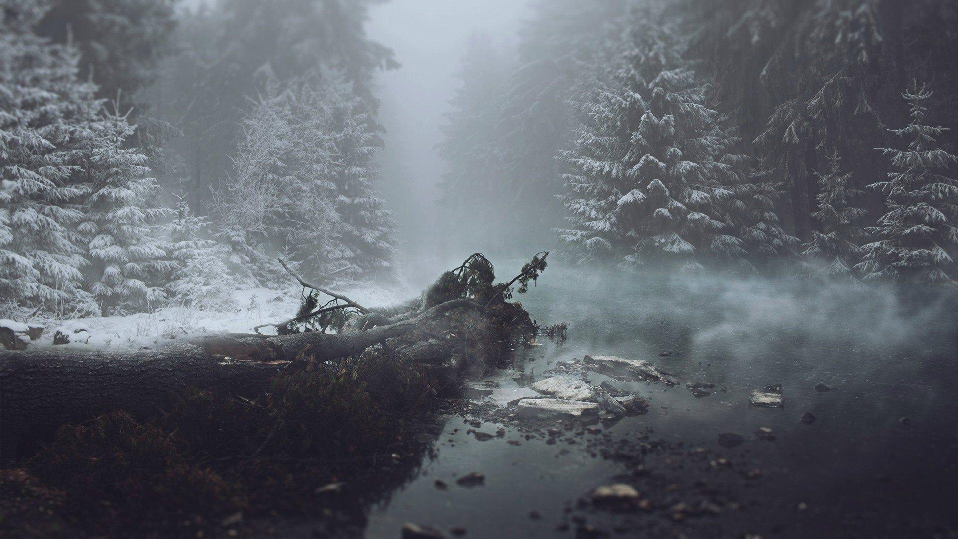 Dark Snowy Forest Wallpapers Top Free Dark Snowy Forest Backgrounds 