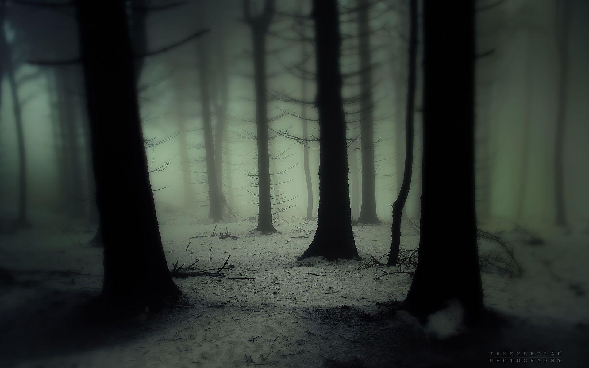 Dark Snowy Forest Wallpapers - Top Free Dark Snowy Forest Backgrounds ...