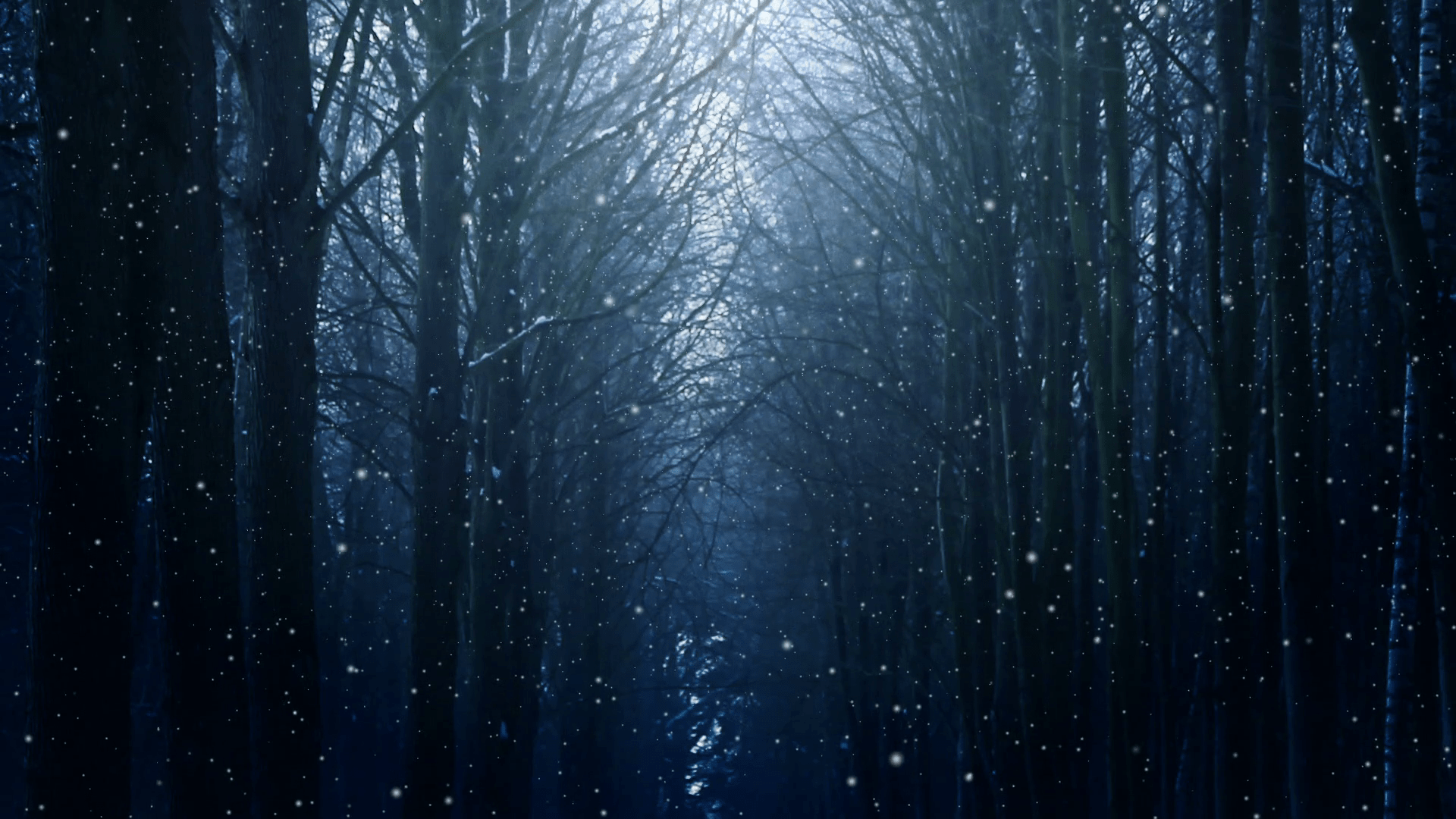 Dark Snowy Forest Wallpapers - Top Free Dark Snowy Forest Backgrounds