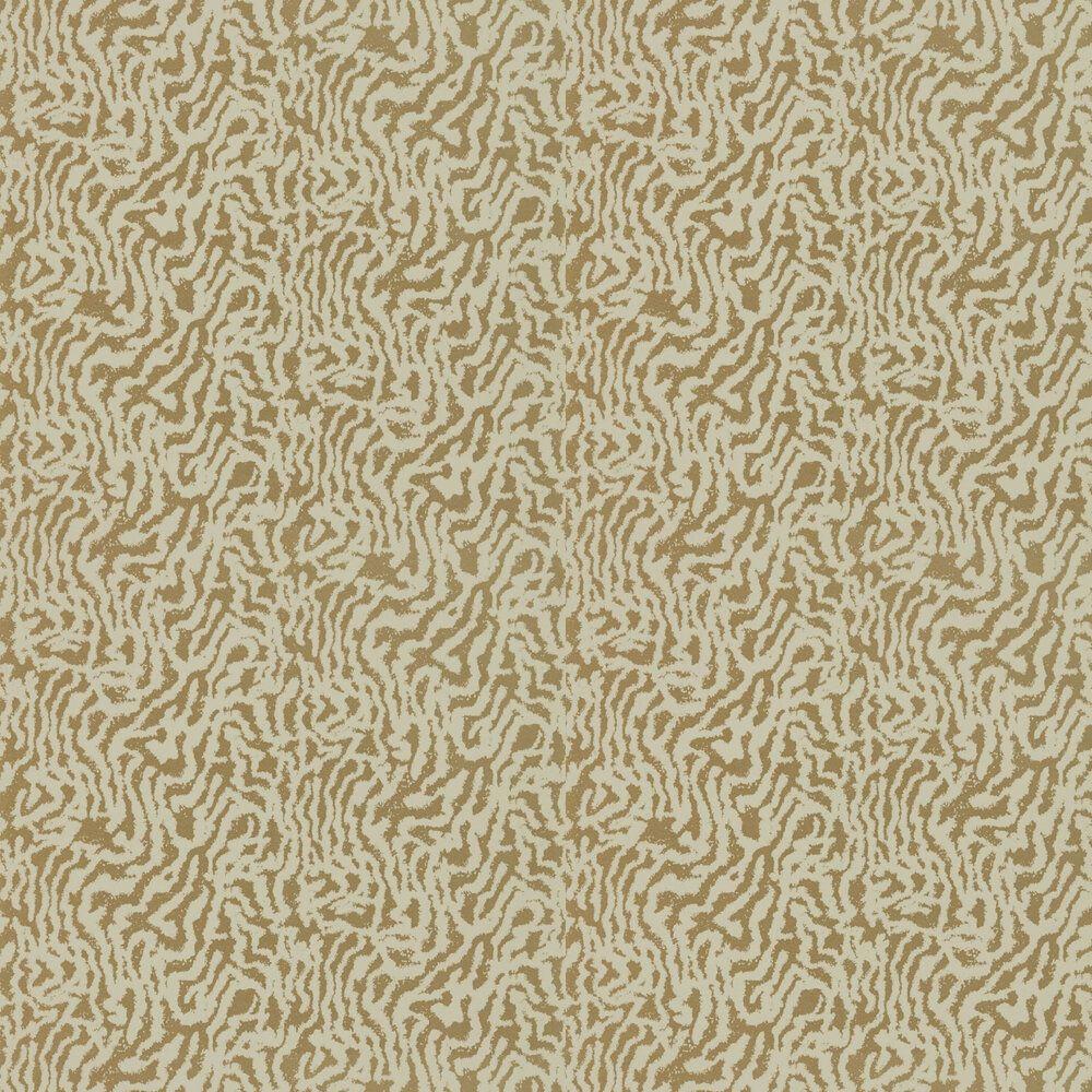 Champagne Gold Wallpapers Top Free Champagne Gold Backgrounds