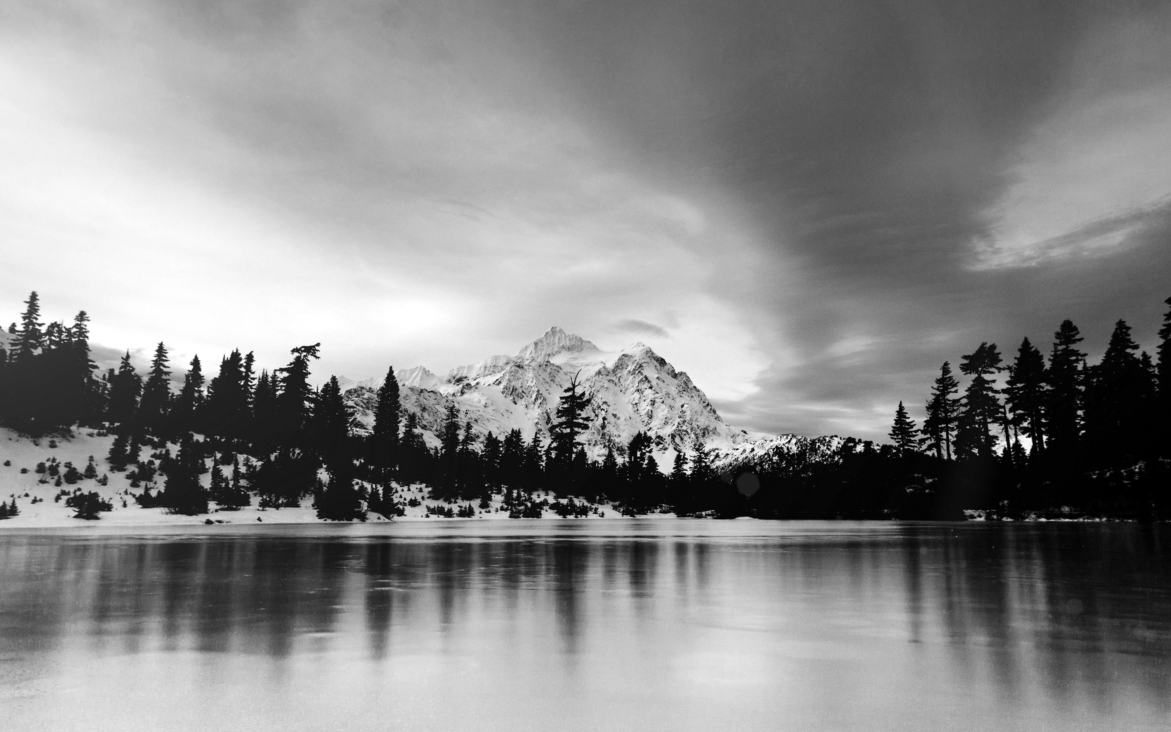 3840x2400 wallpaper for desktop, laptop. frozen lake winter snow wood forest cold bw dark