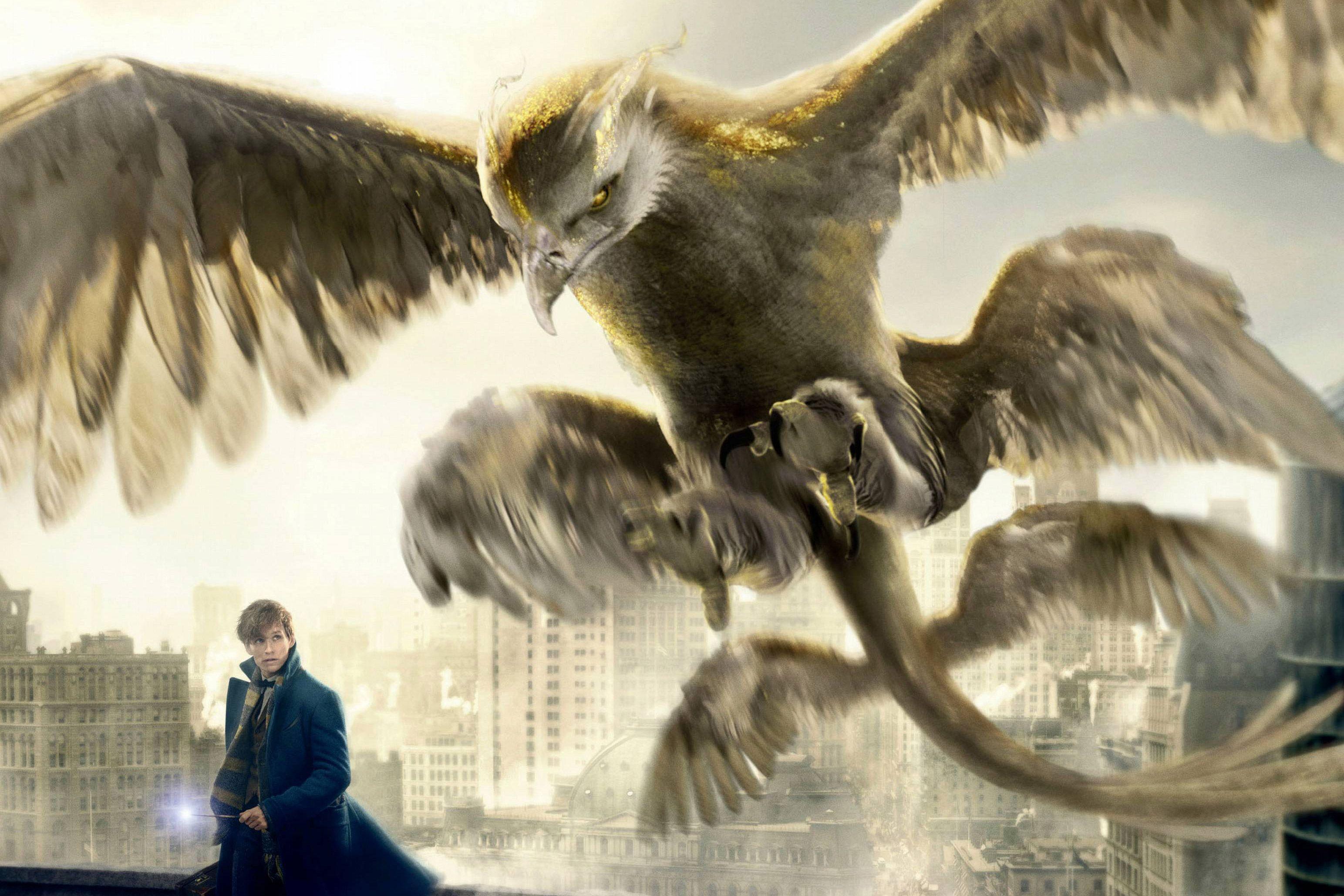 3087x2058 Thunderbird Fantastic Beasts And Where To Find Them, HD Movies, 4k Wallpaper, Image, Background, Photo and Picture