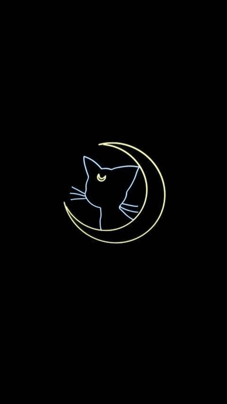 Aesthetic Black Cats Wallpapers Top Free Aesthetic Black Cats