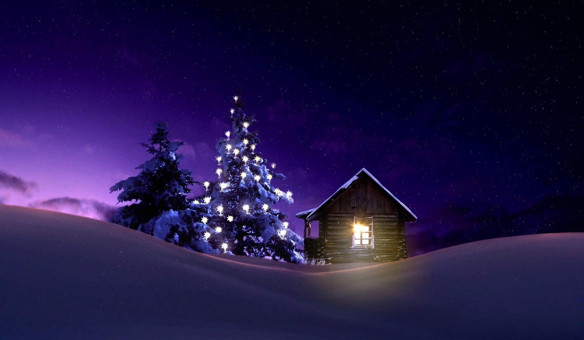 2000x1166 Title Lighted Tree Outside Winter Cabin Holiday Wallpaper 8k HD Wallpaper