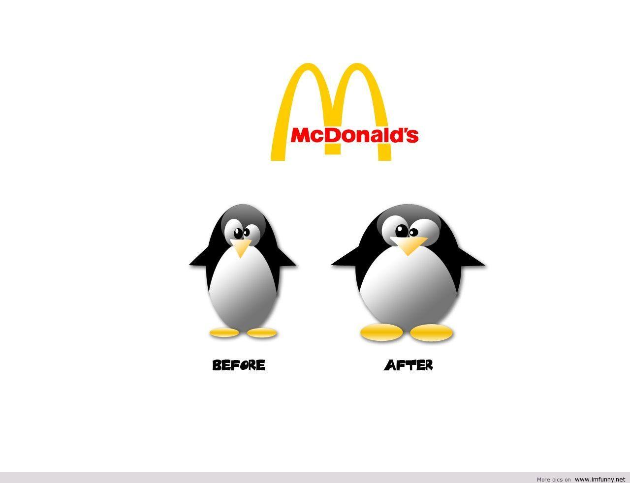 1280x982 Wallpaper for funny. Amp.