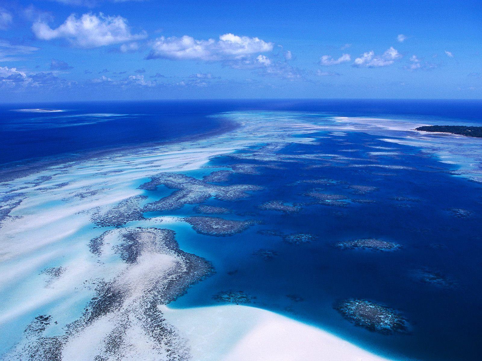 1600x1200 Coral Reef Australia Wallpaper