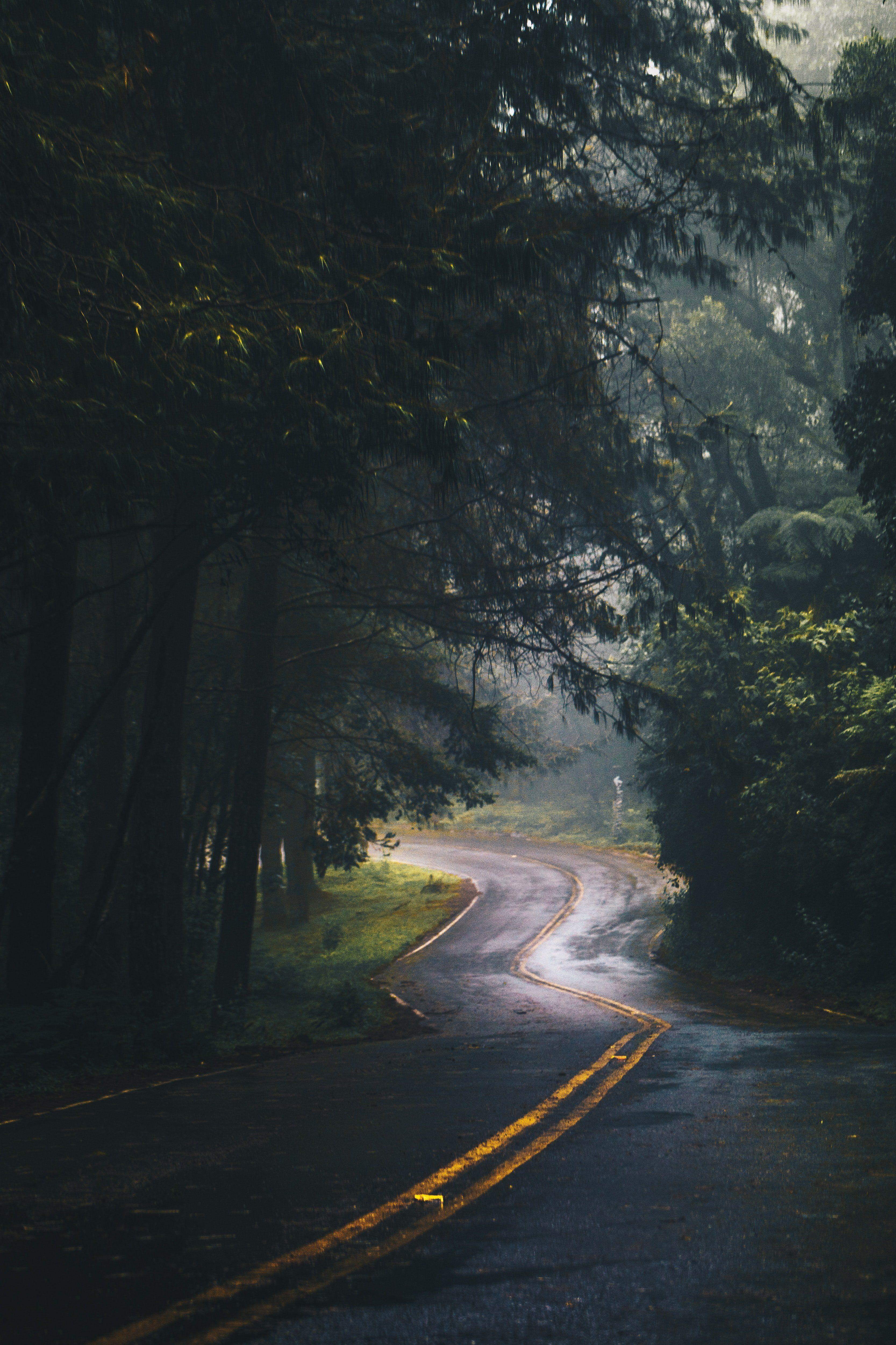 3333x5000 Winding Road HD wallpaper