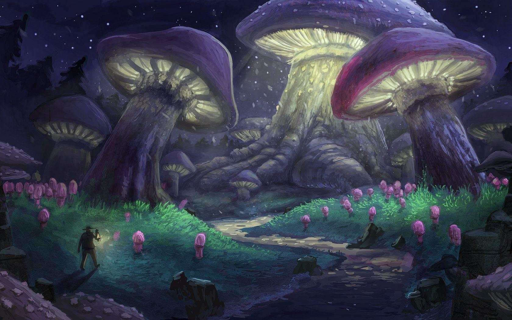 Mushroom Forest Wallpapers Top Free Mushroom Forest Backgrounds - WallpaperAccess