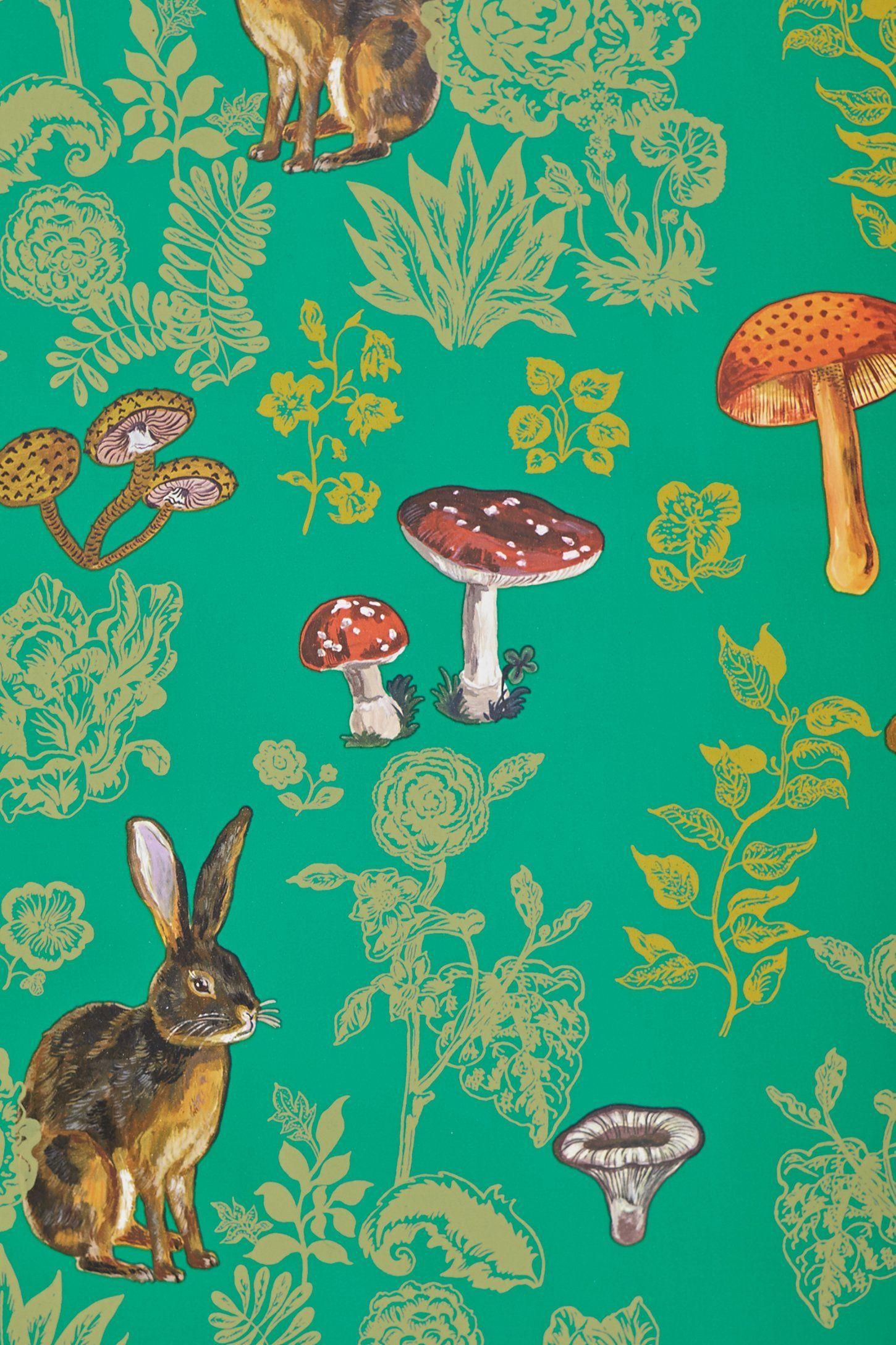 1450x2175 Mushroom Forest Wallpaper By Natalie Lete.com (paste Free Application Easy Removal). Forest Wallpaper, Home Wallpaper, Wallpaper