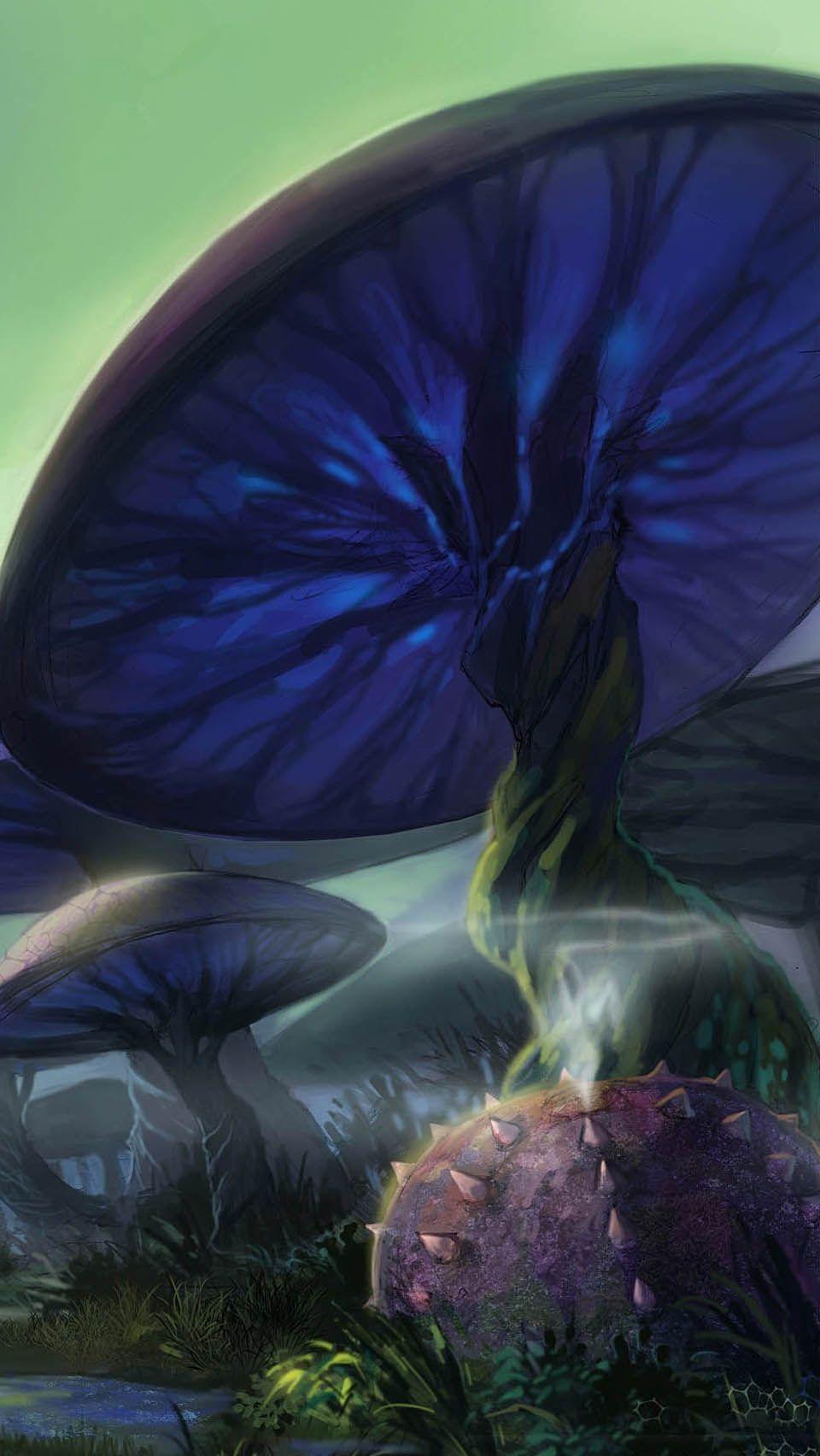 960x1704 Mushroom Forest. HD iPhone wallpaper. Nature tree, Beautiful nature, Forest