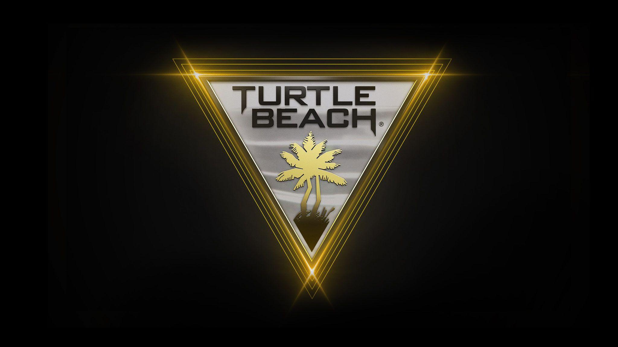 2048x1152 Beach Wallpaper Turtle