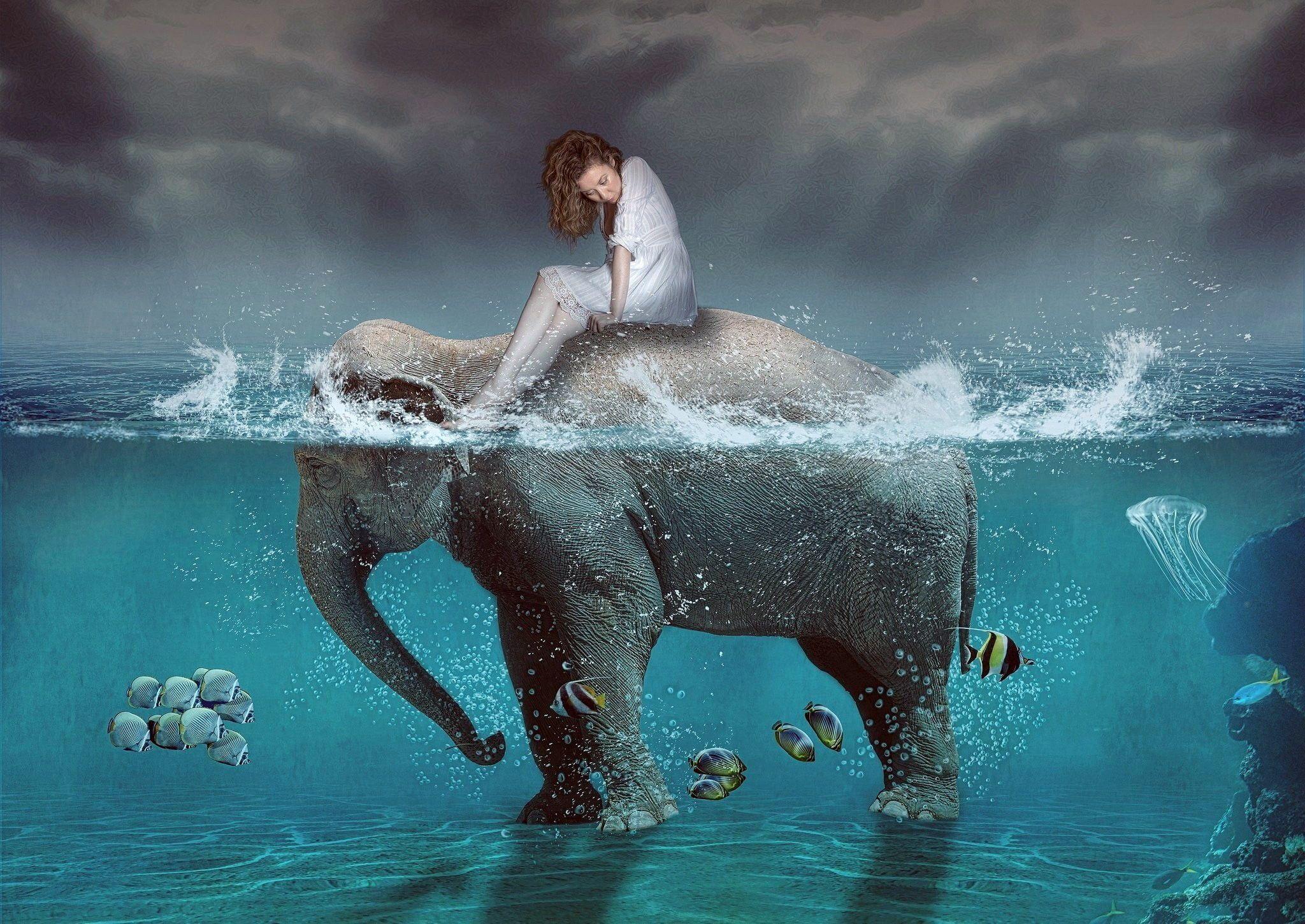 2048x1450 Elephant art, iPhone, Desktop HD Background / Wallpaper (1080p, 4k) (2048x1450) (2021)