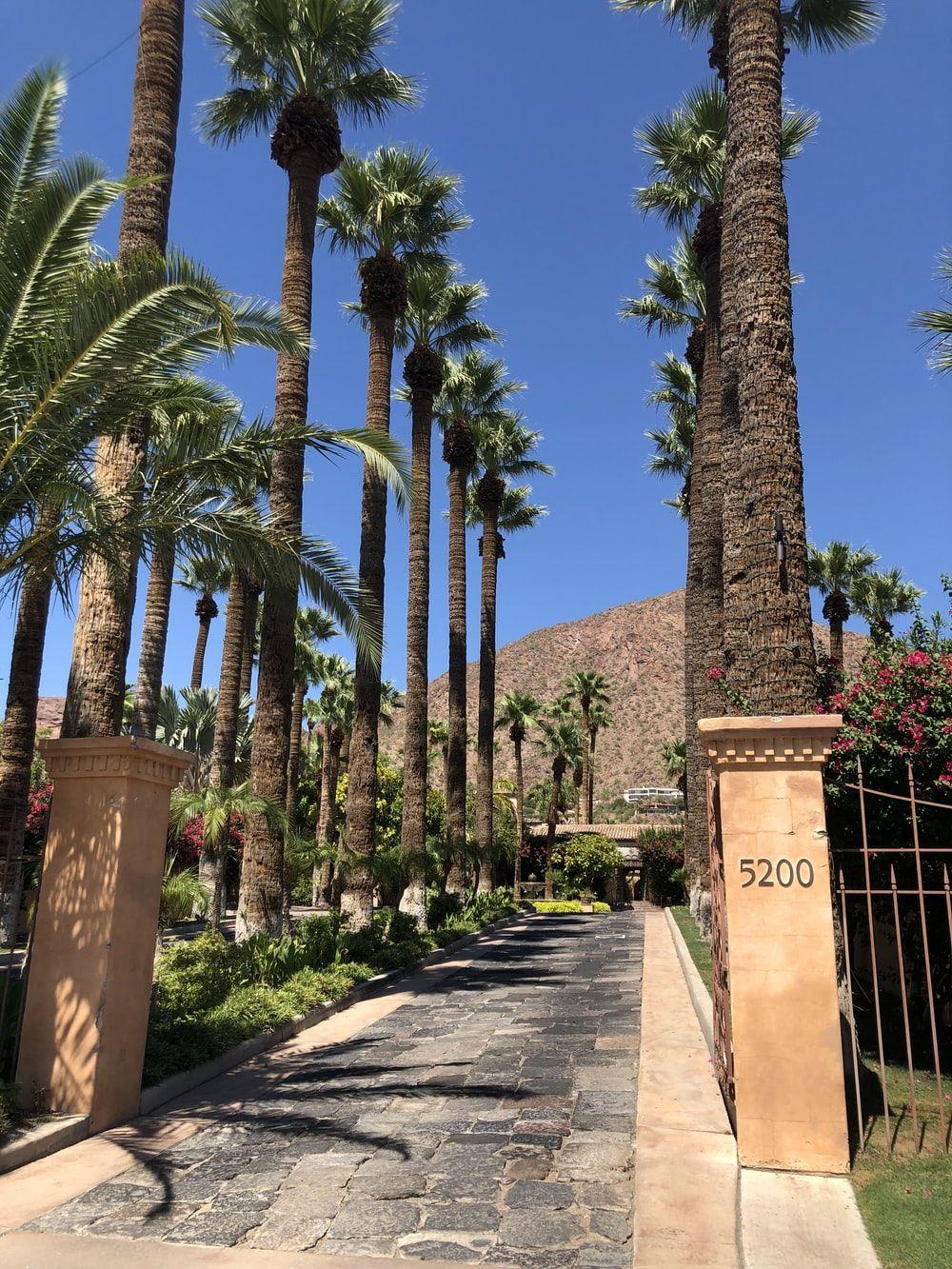 1000x1333 Phoenix Arizona Picture. Download Free Image