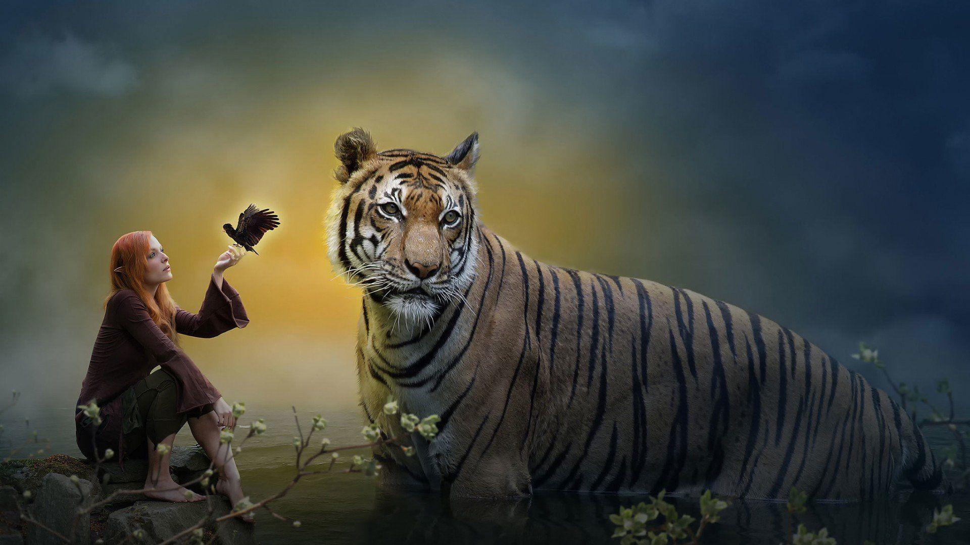 1920x1080 fantasy, Art, Artwork, Artistic, Original, Photohop, Manipulation Wallpaper HD / Desktop and Mobile Background