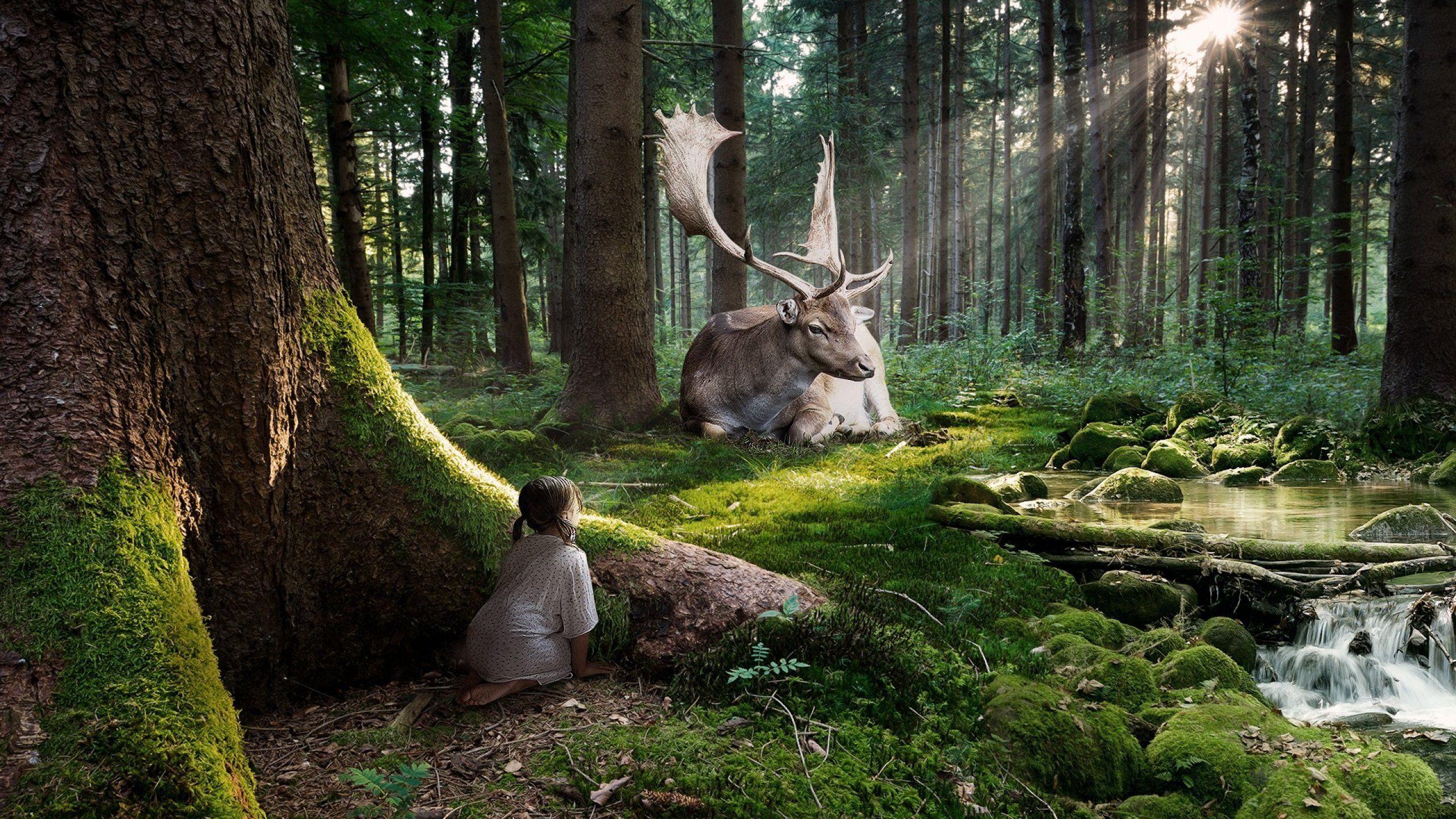 2560x1440 Artistic Photohop Wallpaper 2560×1440