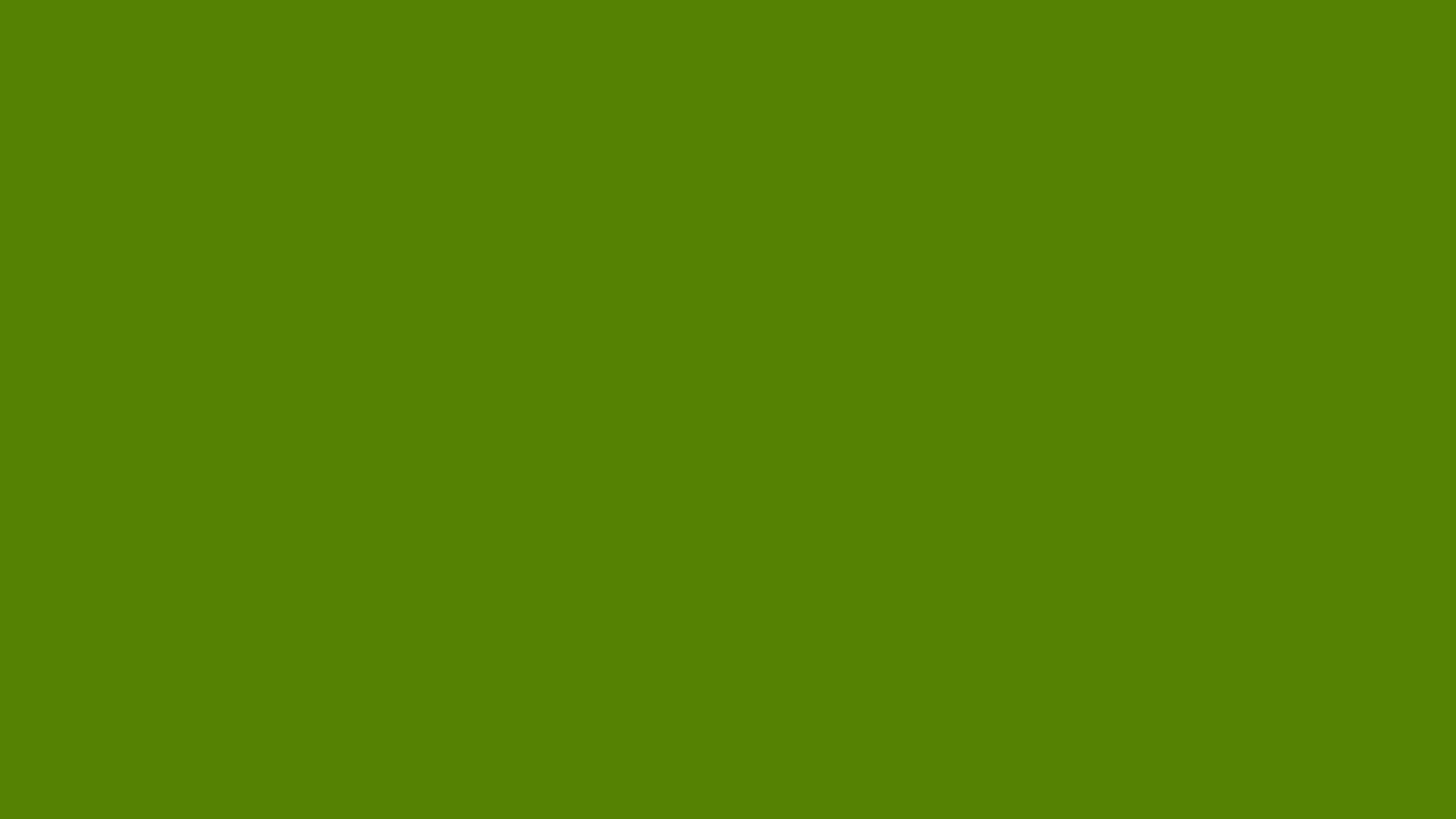 2560x1440 Avocado Green Wallpaper. Avocado Retro Wallpaper, Avocado Green Wallpaper and Avocado Wallpaper