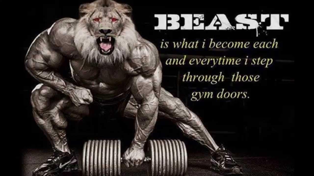 Beast Gym Wallpapers - Top Free Beast Gym Backgrounds - WallpaperAccess