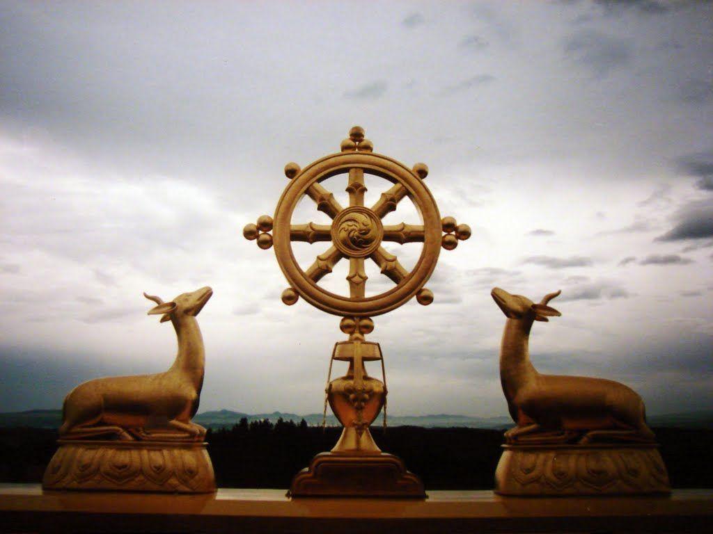 1024x768 Dharma Wallpaper