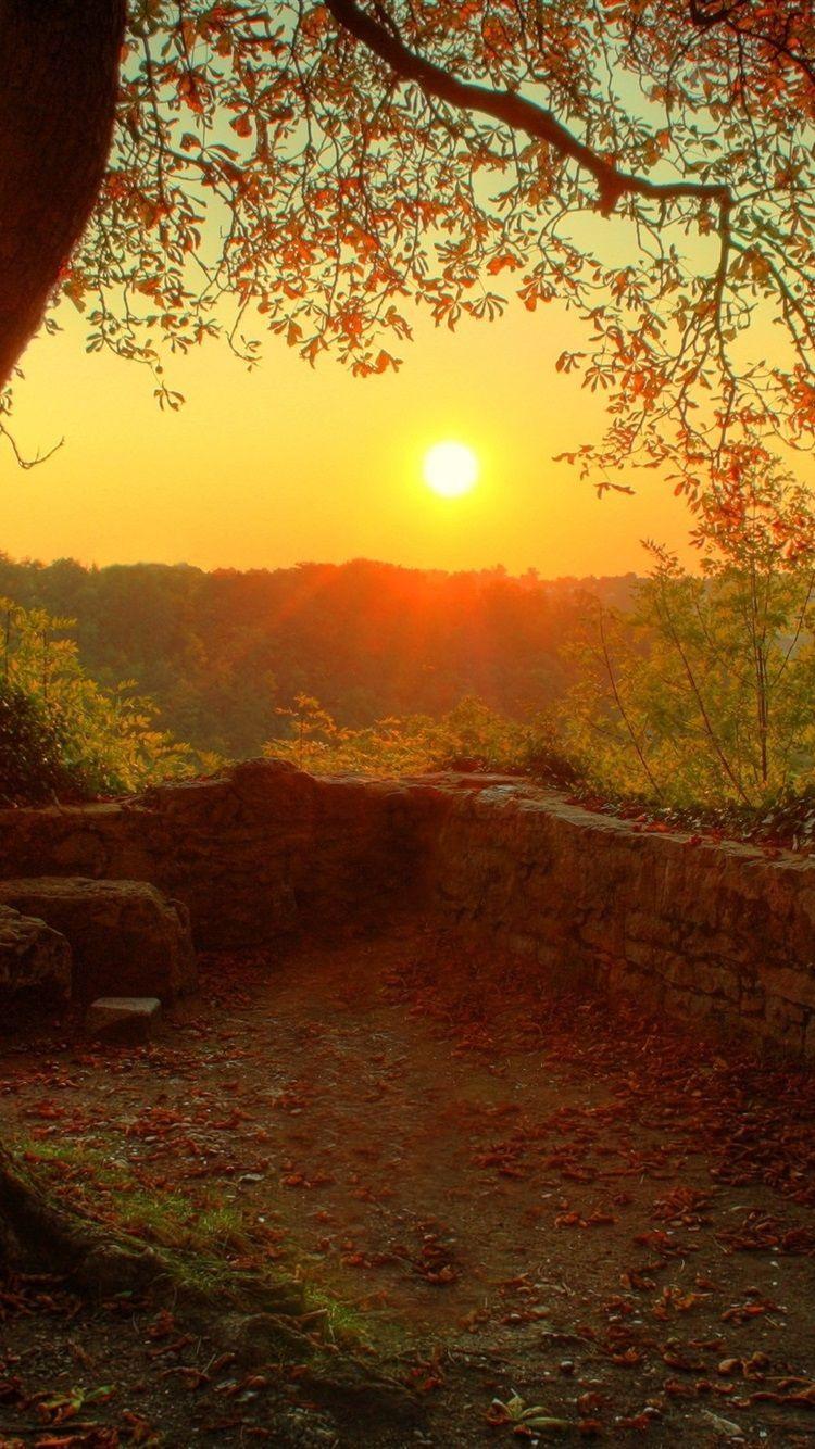 750x1334 Morning Sunrise Wallpaper