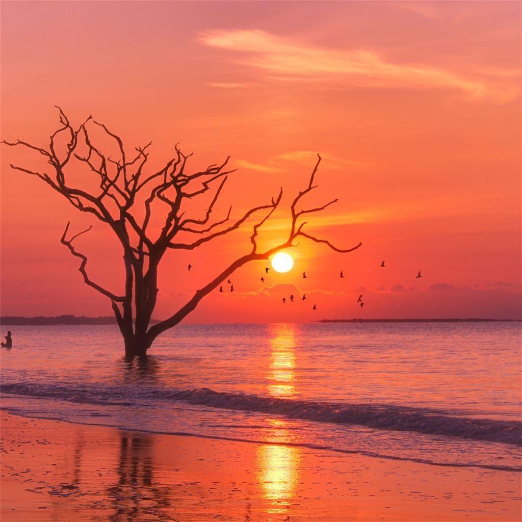1024x1024 Best Sunrise iPad Wallpaper HD [2020]