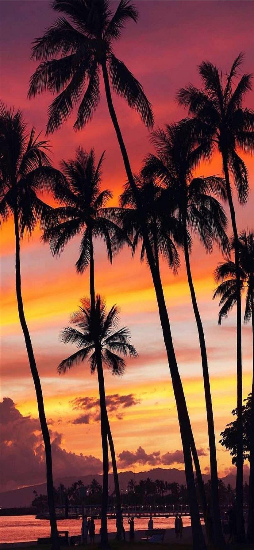 1125x2436 Best Oahu hawaii iPhone 11 Wallpaper HD [2020]
