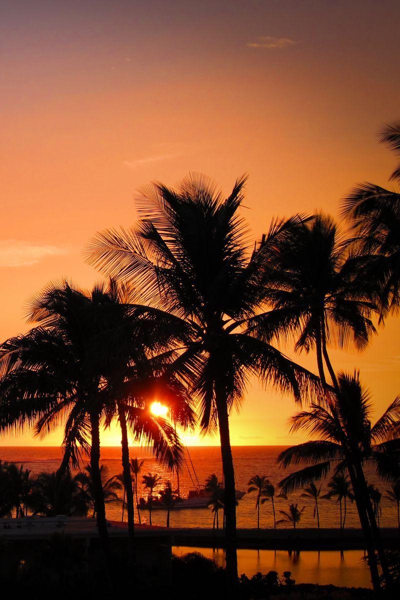 800x1200 Download Wallpaper 800x1200 Palms, Sunset, Hawaii, Tropics, Ocean, Horizon Iphone 4s 4 For Parallax HD Background