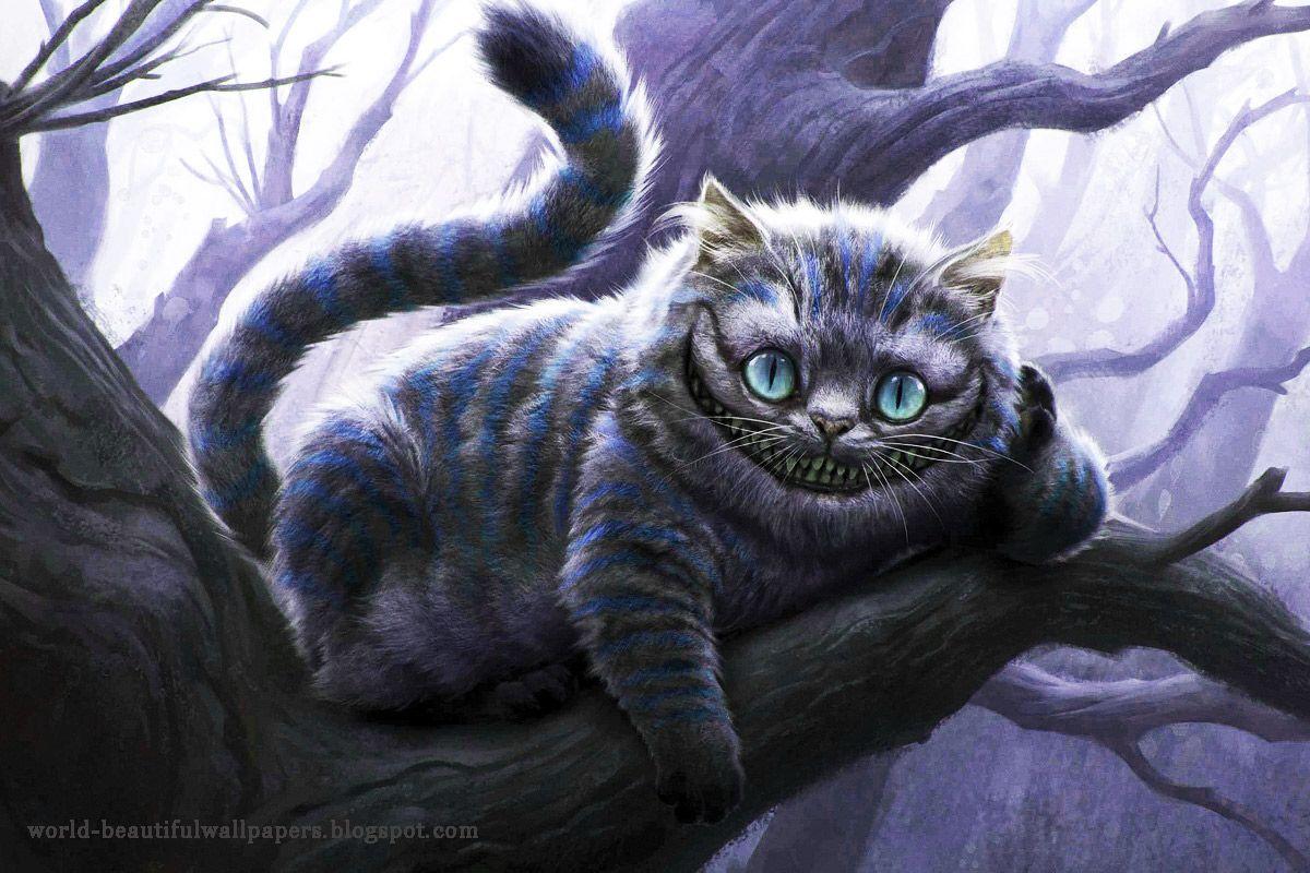 1200x800 Wallpaperpiolt: Beautiful Cats Wallpaper