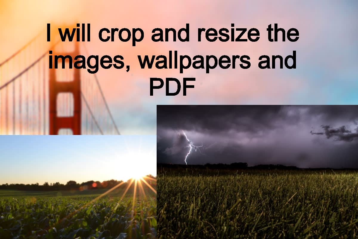 1200x802 Crop and resize the image, wallpaper and pdf in one hour