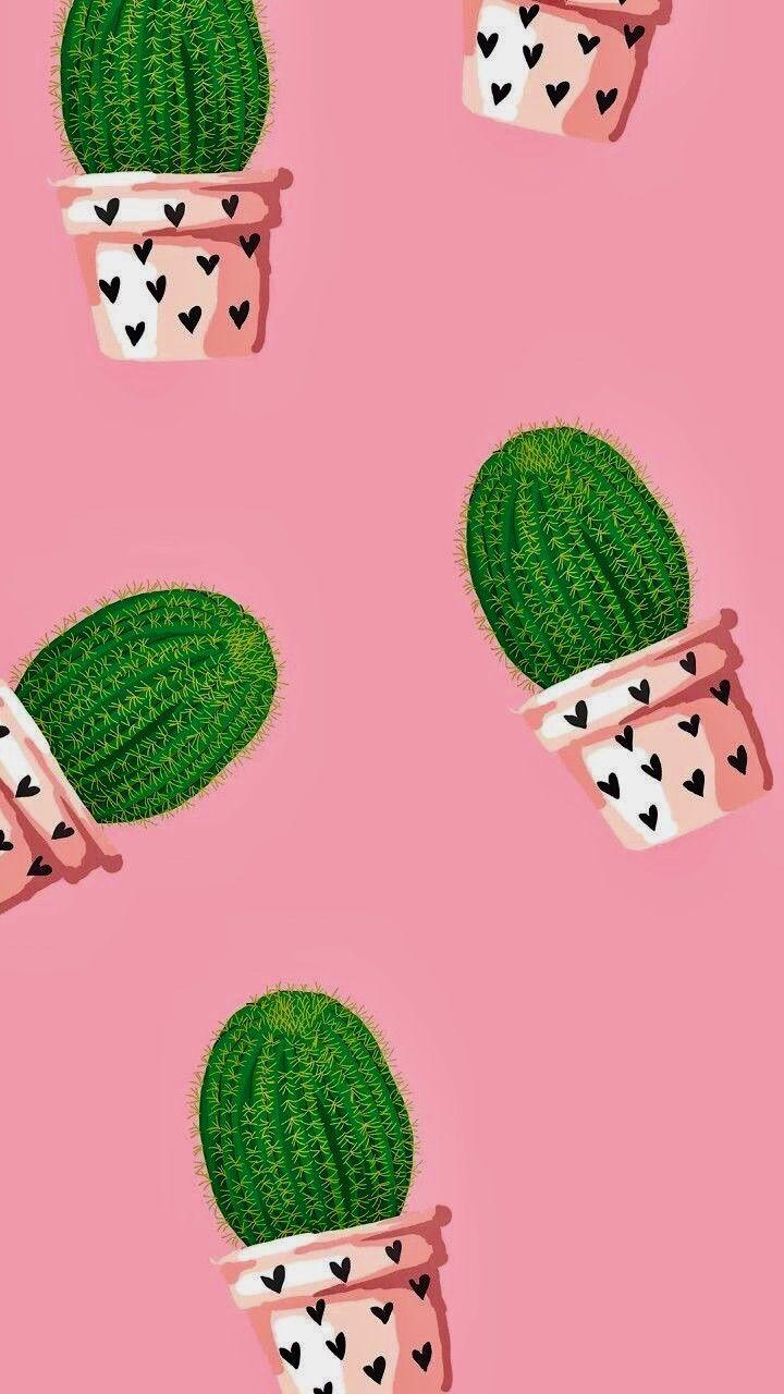 720x1280 cactus #iphone #wallpaper #pink #love. Suculentas Cactus Terrários