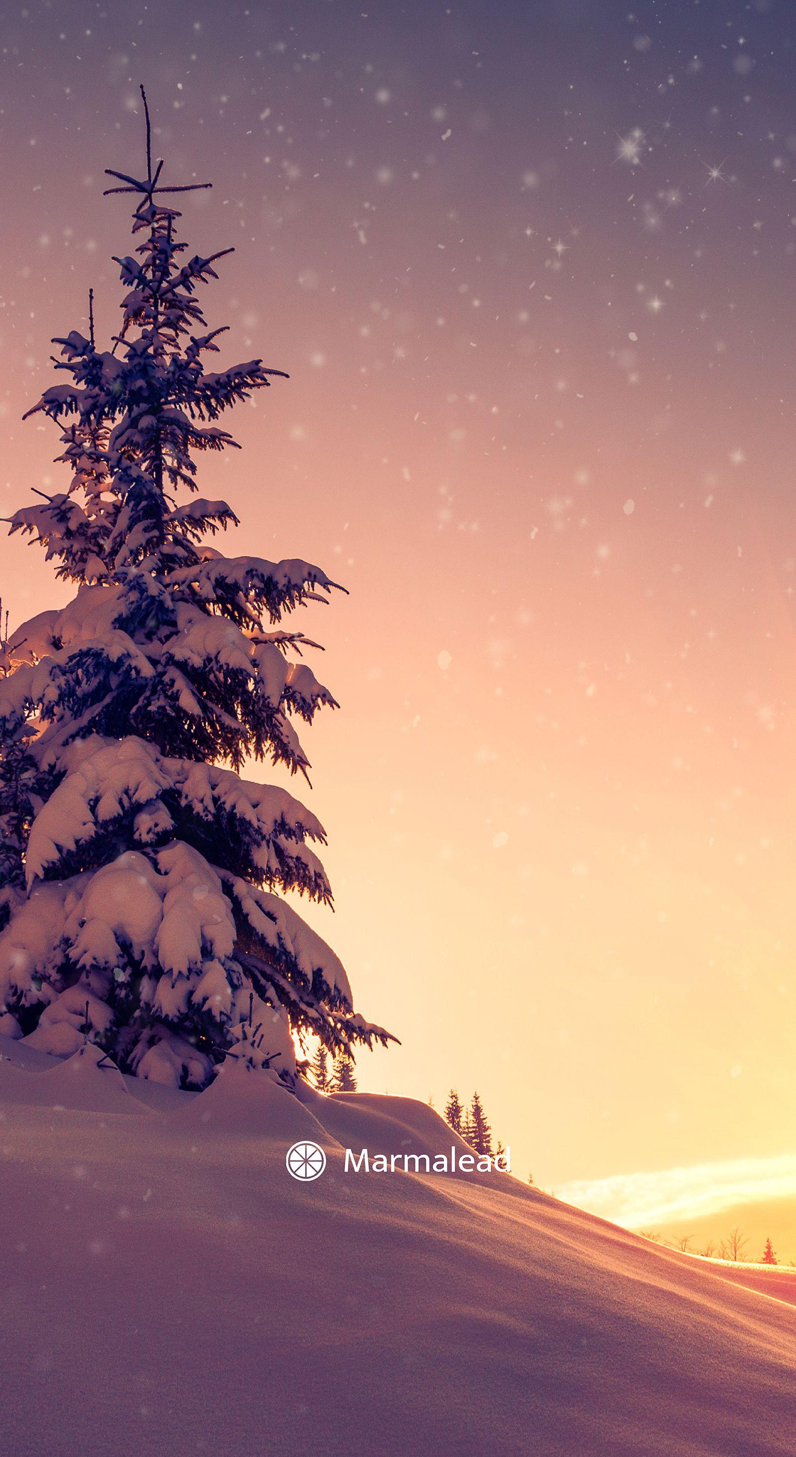 1579x2890 December 2018 Free Desktop Calendar from Marmalead