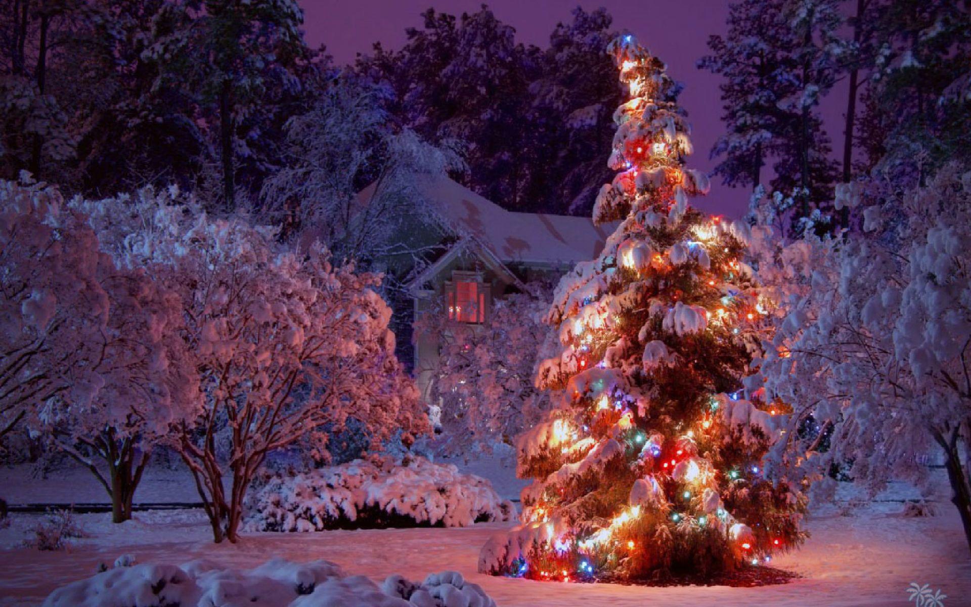 1920x1200 Christmas Scenes Wallpaper