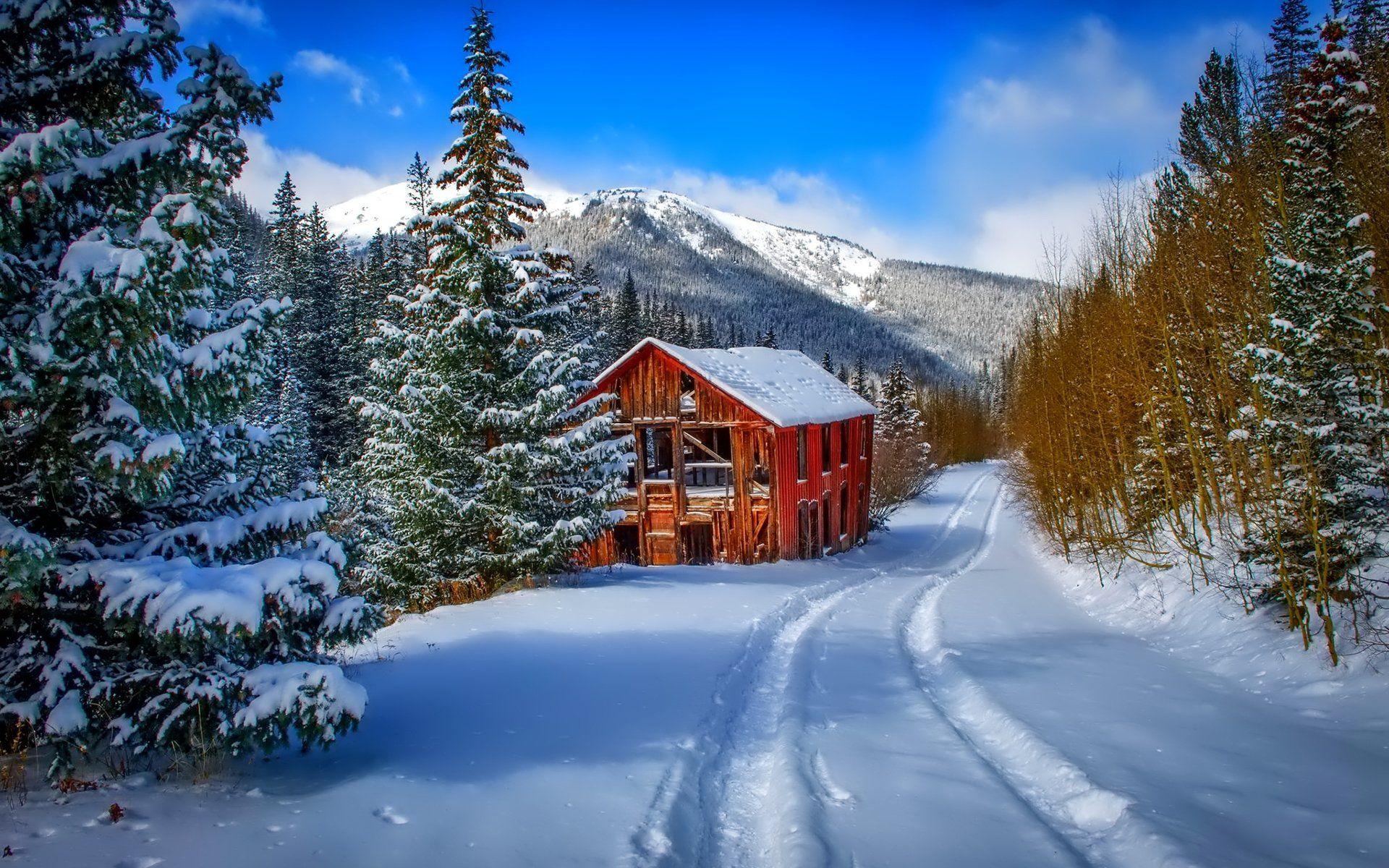 1920x1200 Christmas Snow Scene Wallpaper Wallpaper 1920x1200