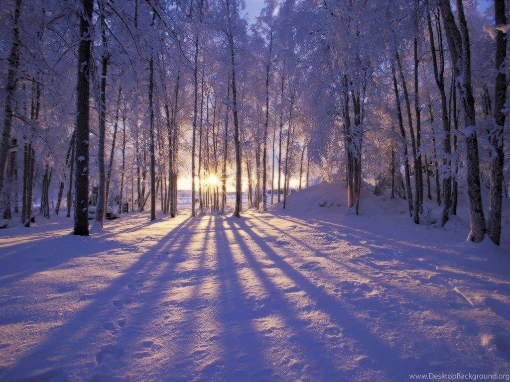 1024x768 Christmas Winter Scenes Wallpaper Desktop Background