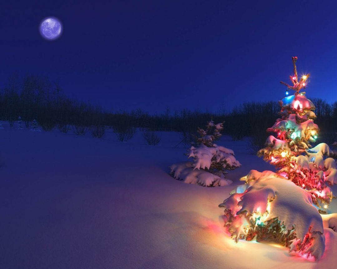 Christmas Snow Scenes Wallpapers - Top Free Christmas Snow Scenes ...