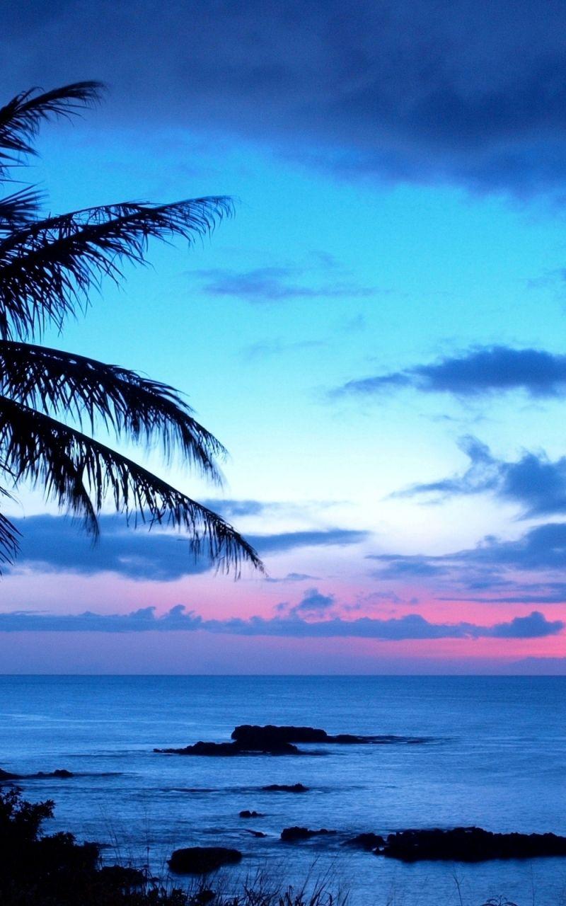 800x1280 Free download 40 HD Hawaii Wallpaper For Download [2560x1600] for your Desktop, Mobile & Tablet. Explore Hawaii Wallpaper. Hawaii Beach Wallpaper, Desktop HD Wallpaper, Hawaii Wallpaper