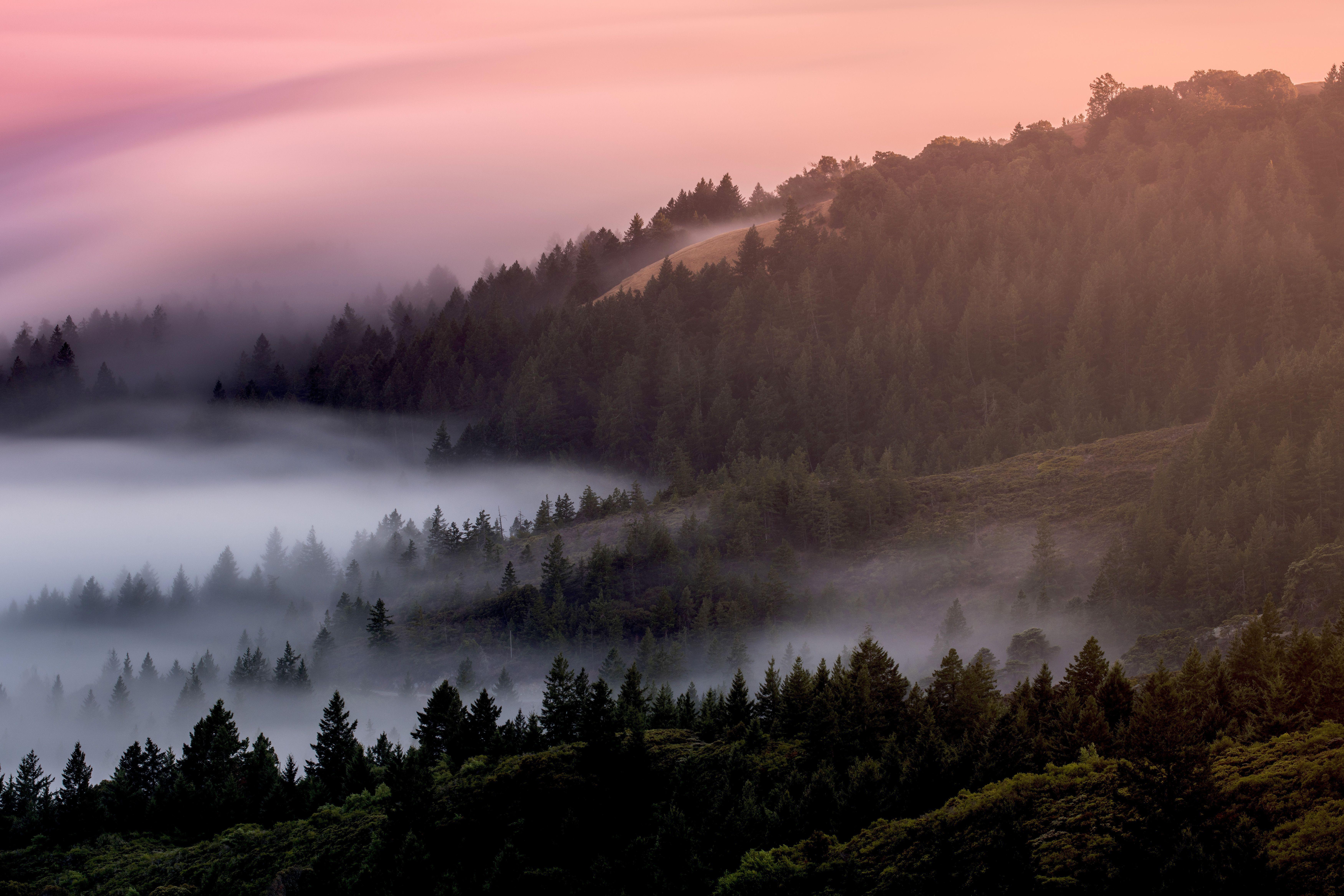 7000x4667 Mist Mountain Trees River 4k HD Wallpaper