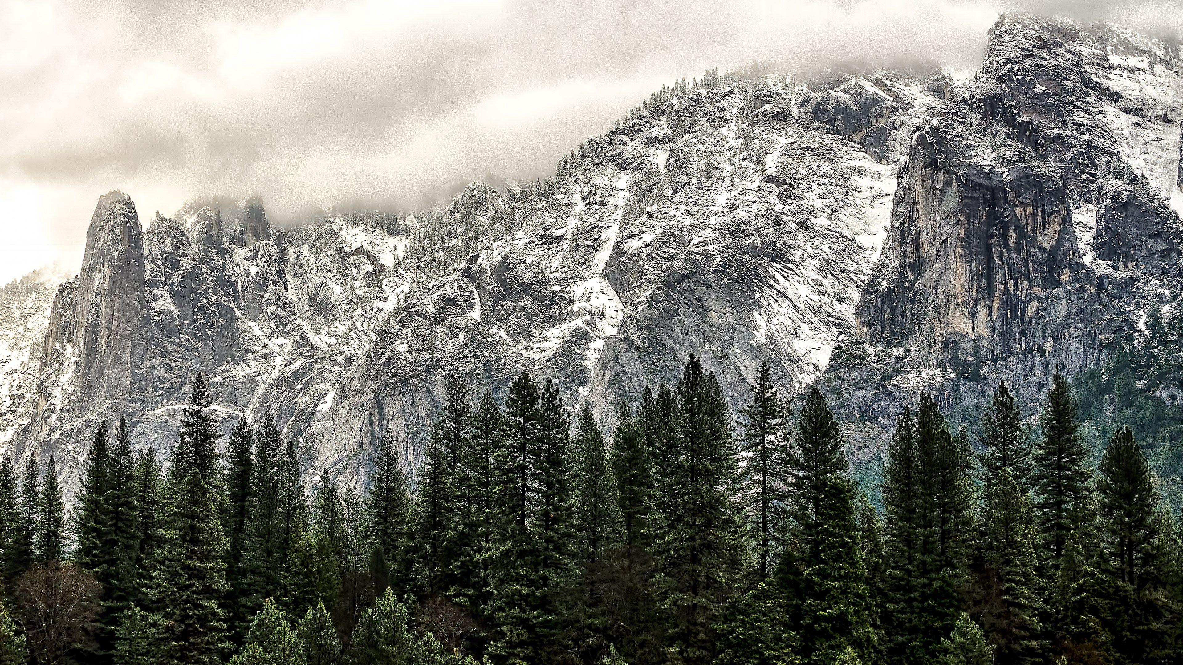 3840x2160 forest with snowy and foggy mountains wallpaper