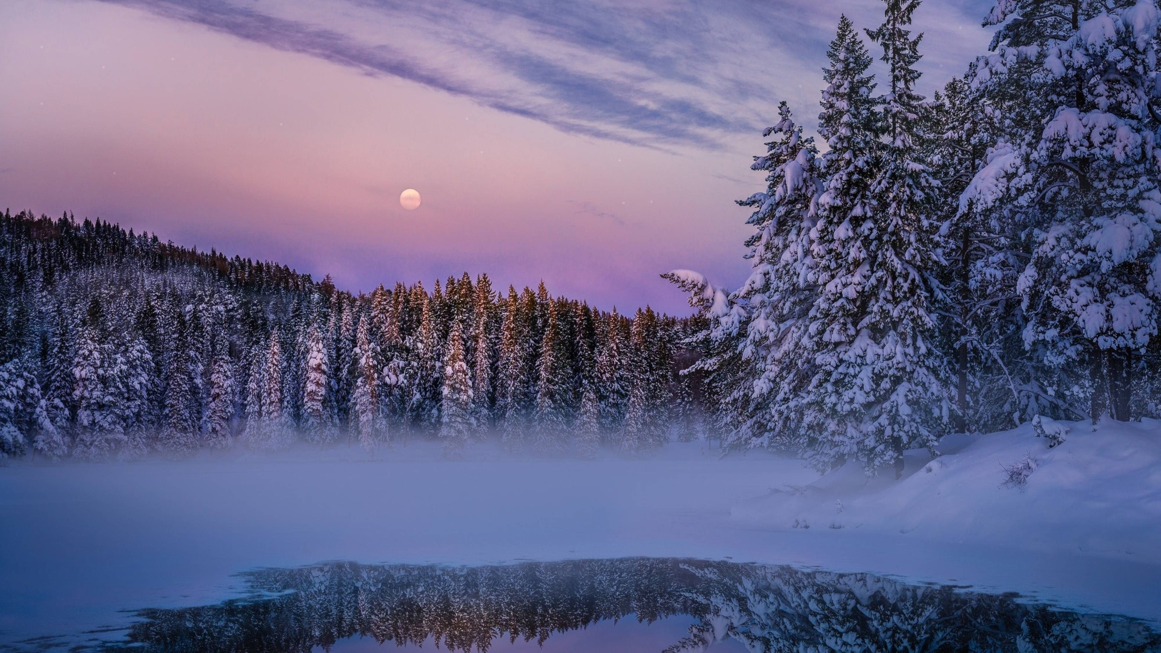 3839x2160 Winter Fog, Snow, Trees And Lake 4K Wallpaper, HD Nature 4K Wallpaper, Image, Photo and Background