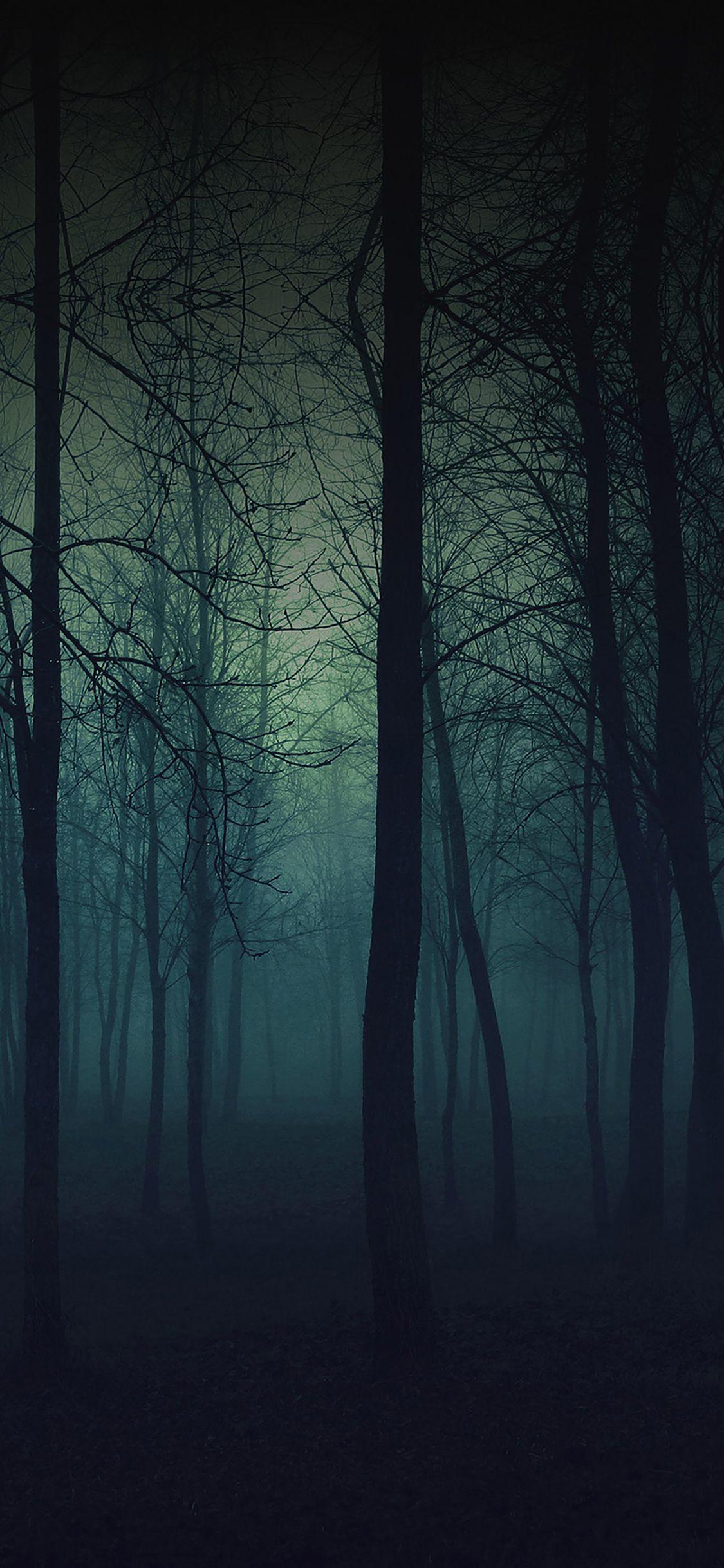 1125x2436 iPhoneXpapers foggy forest mountain