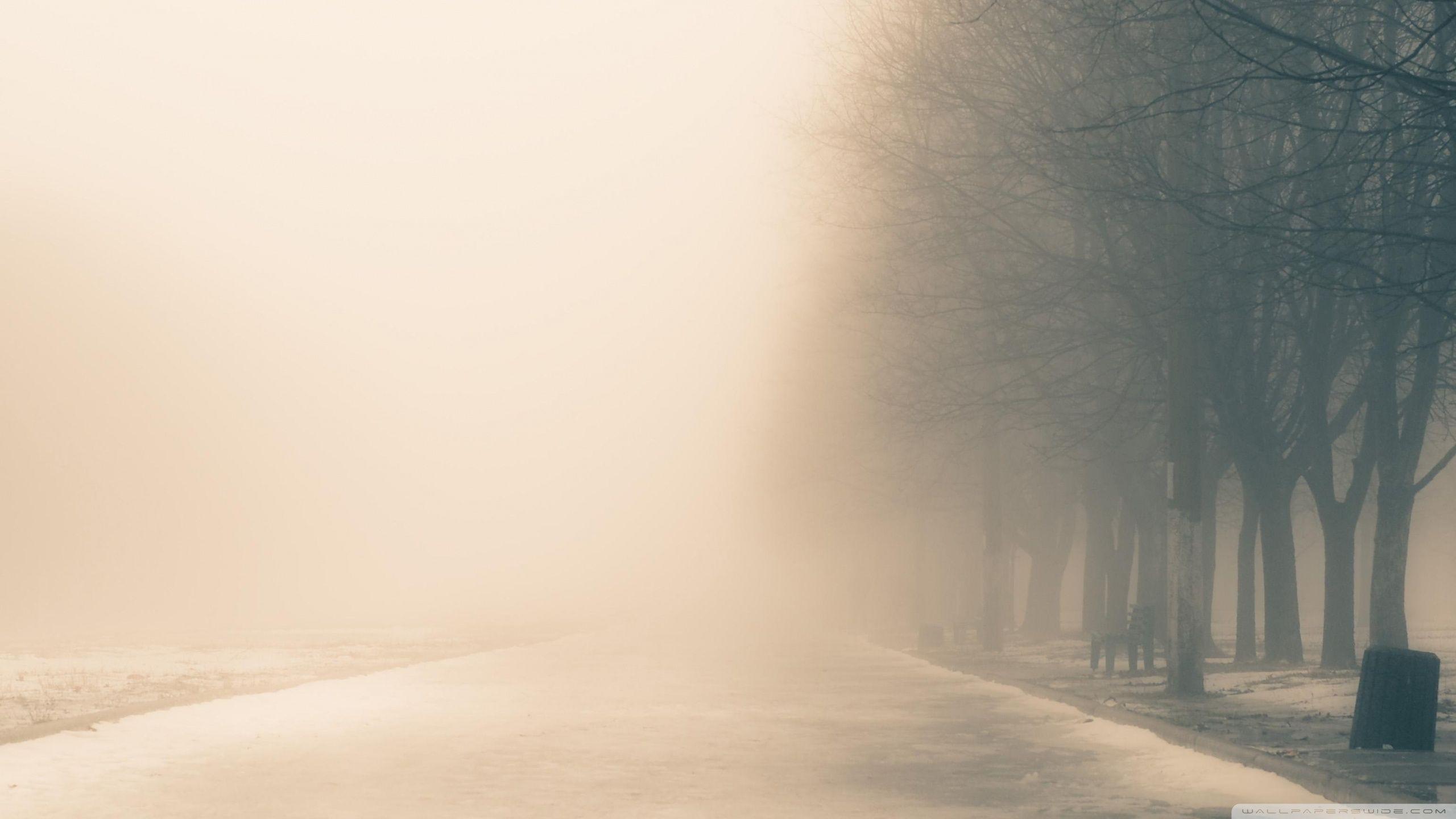 2560x1440 Winter Fog Ultra HD Desktop Background Wallpaper for 4K UHD TV : Tablet