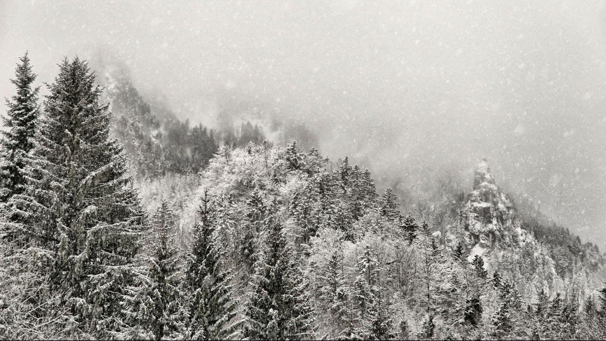 1244x700 Winter snow mountains fog forest wallpaperx1080