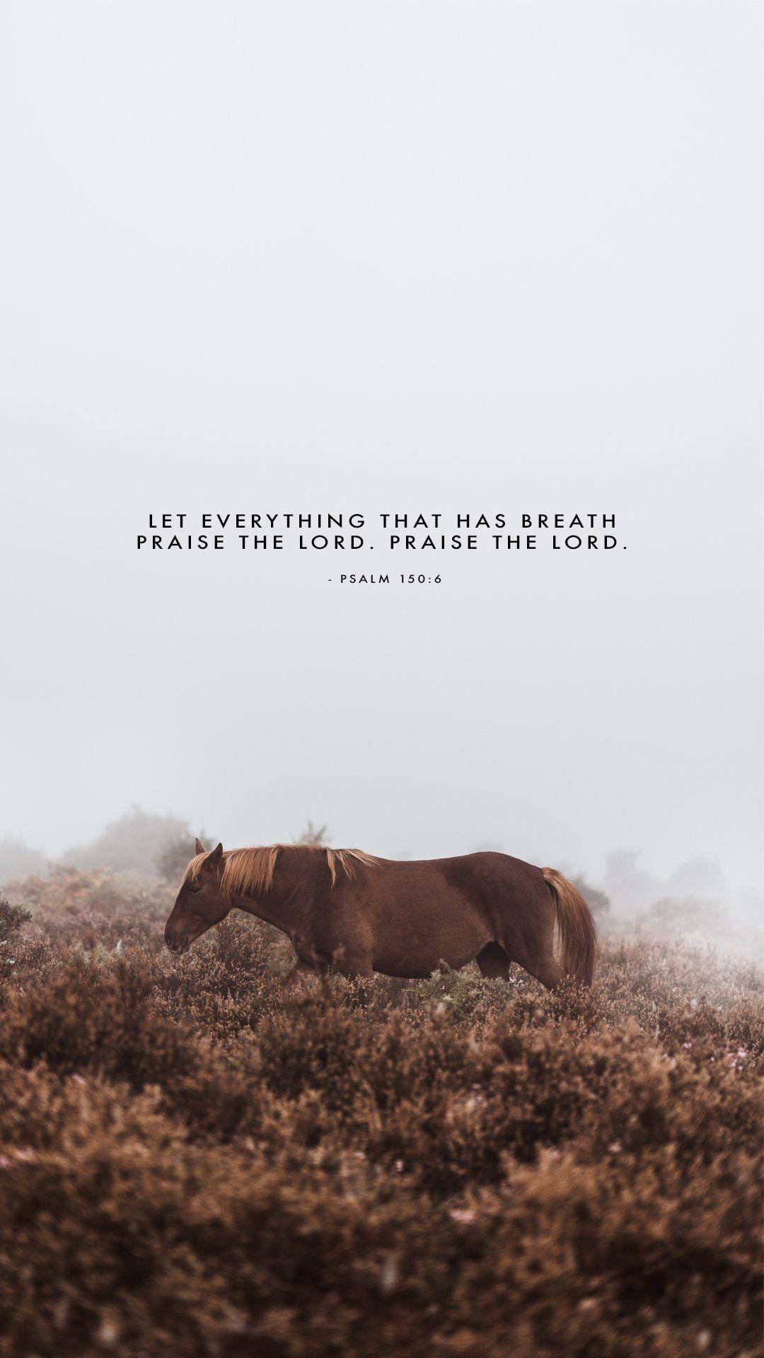 1080x1920 Horse Quotes Wallpaper