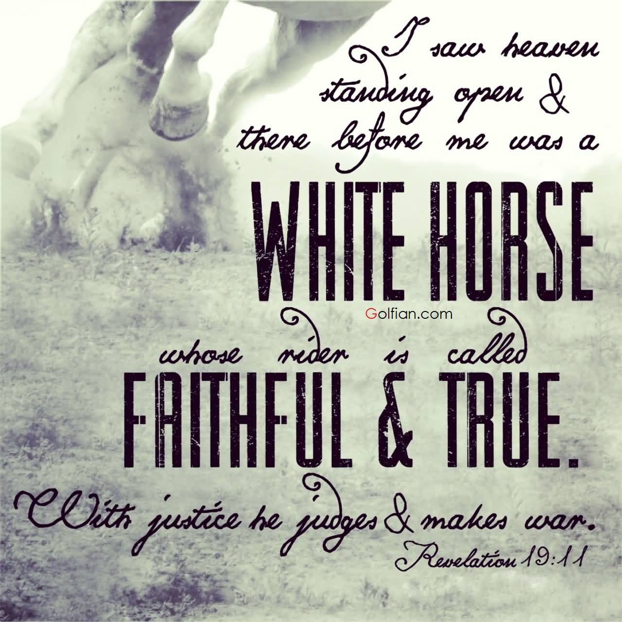 Horse Quotes Wallpapers Top Free Horse Quotes Backgrounds WallpaperAccess