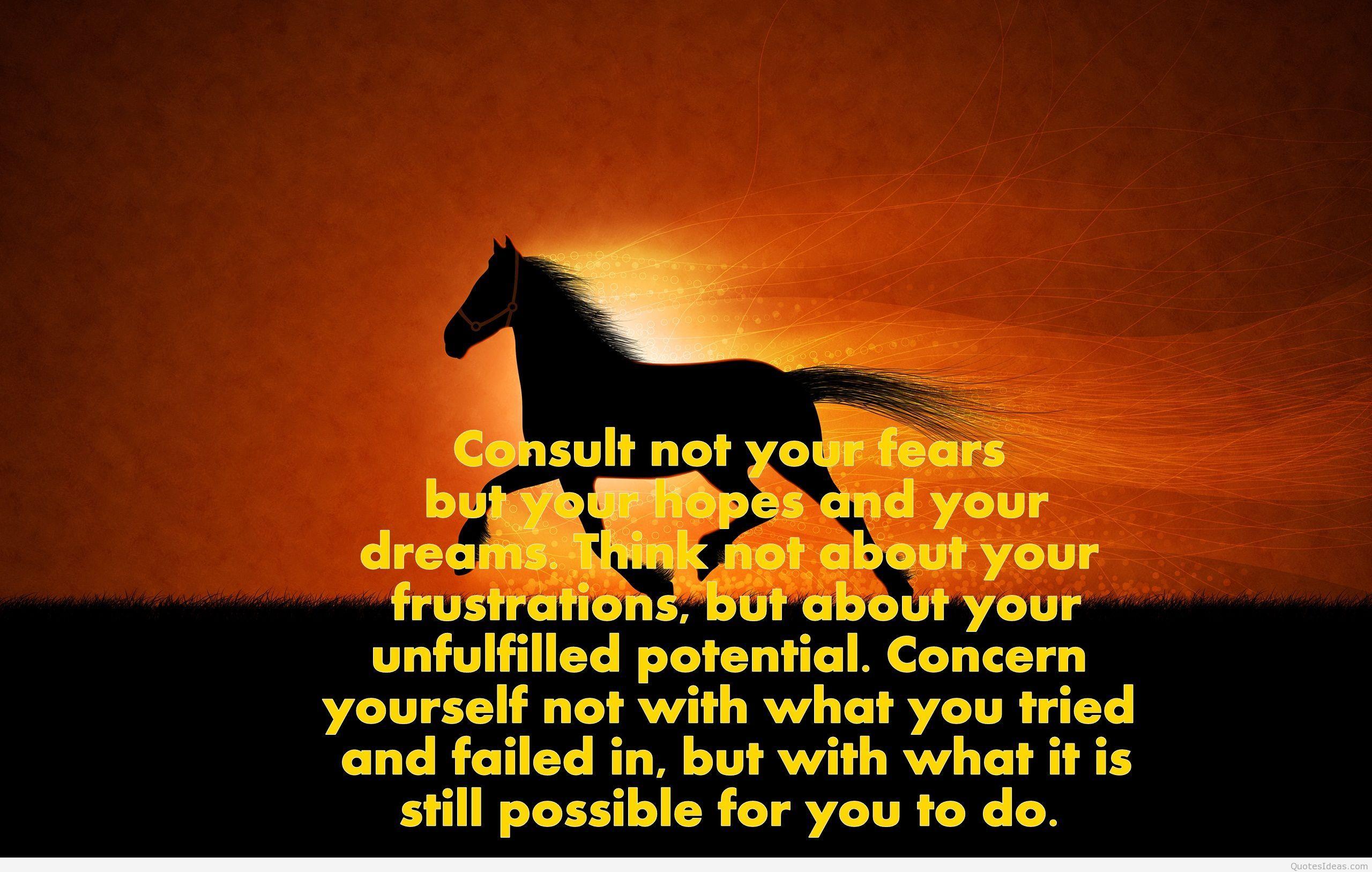 2560x1627 Horse Related To Boyfriends Quotes. QuotesGram